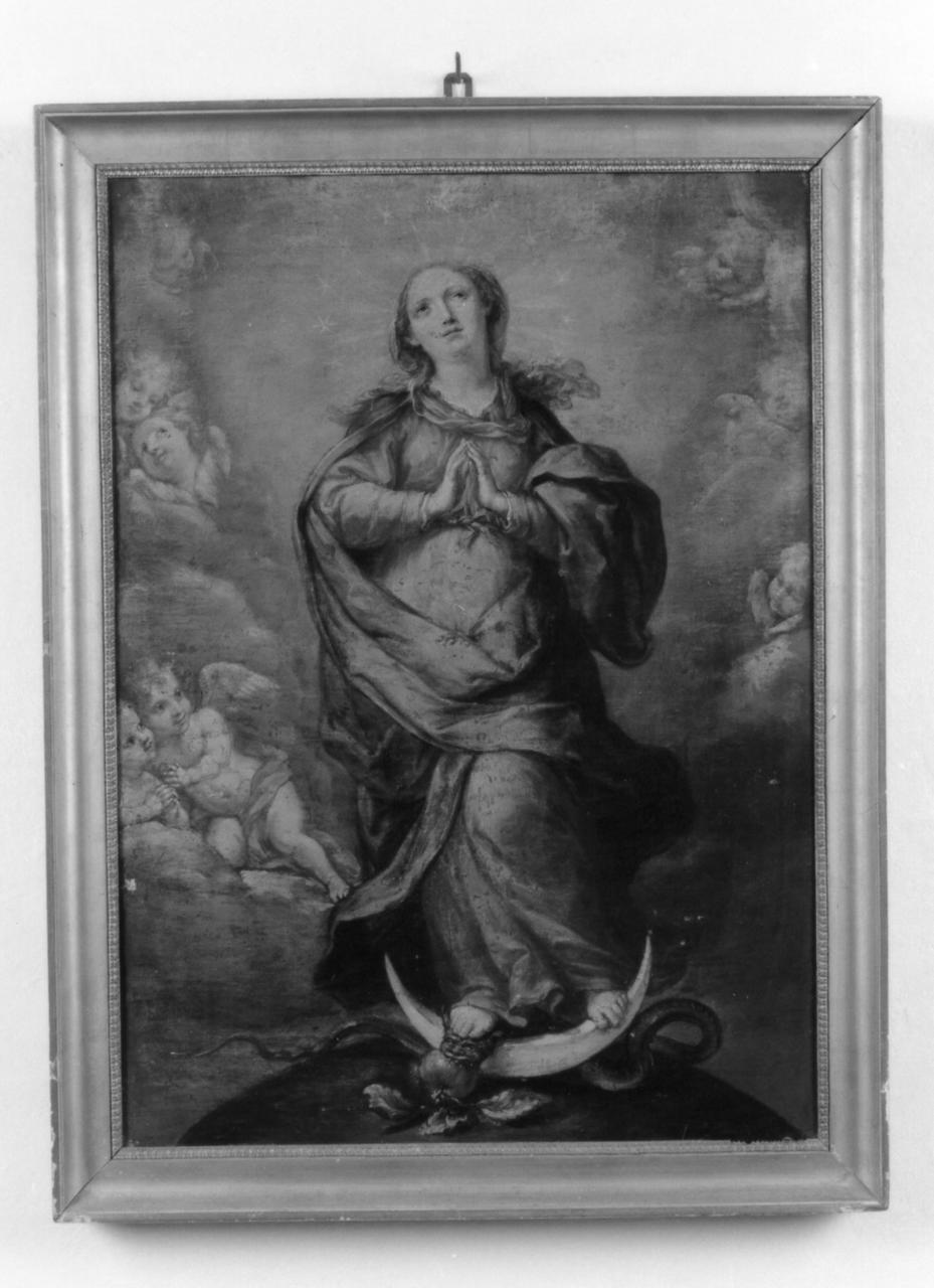 Madonna Immacolata (dipinto) di Consetti Antonio (metà sec. XVIII)