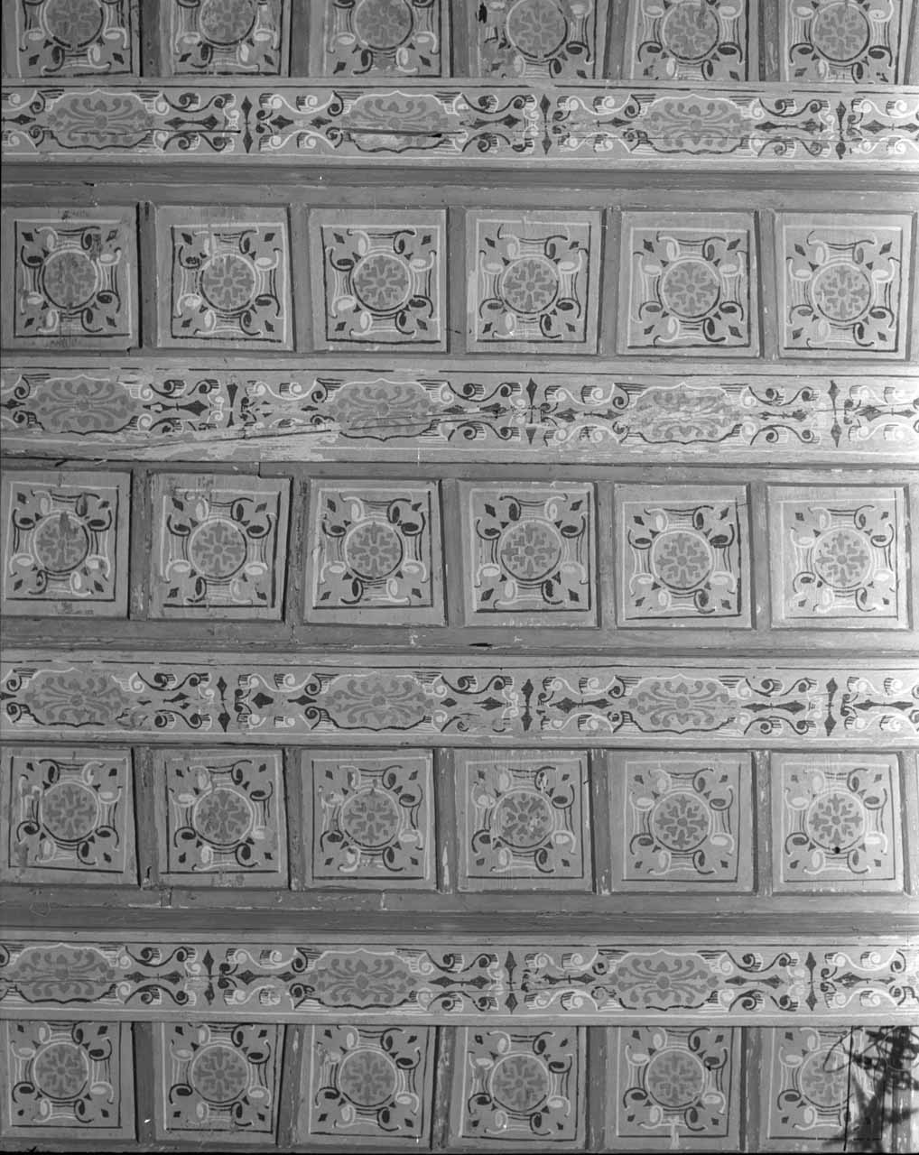 Motivi decorativi fitomorfi (soffitto dipinto) - ambito italiano (inizio sec. XX)