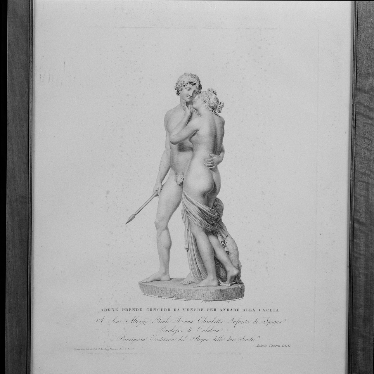 Venere e Adone (stampa) di Bertini A, Tognolli Giovanni (sec. XIX)