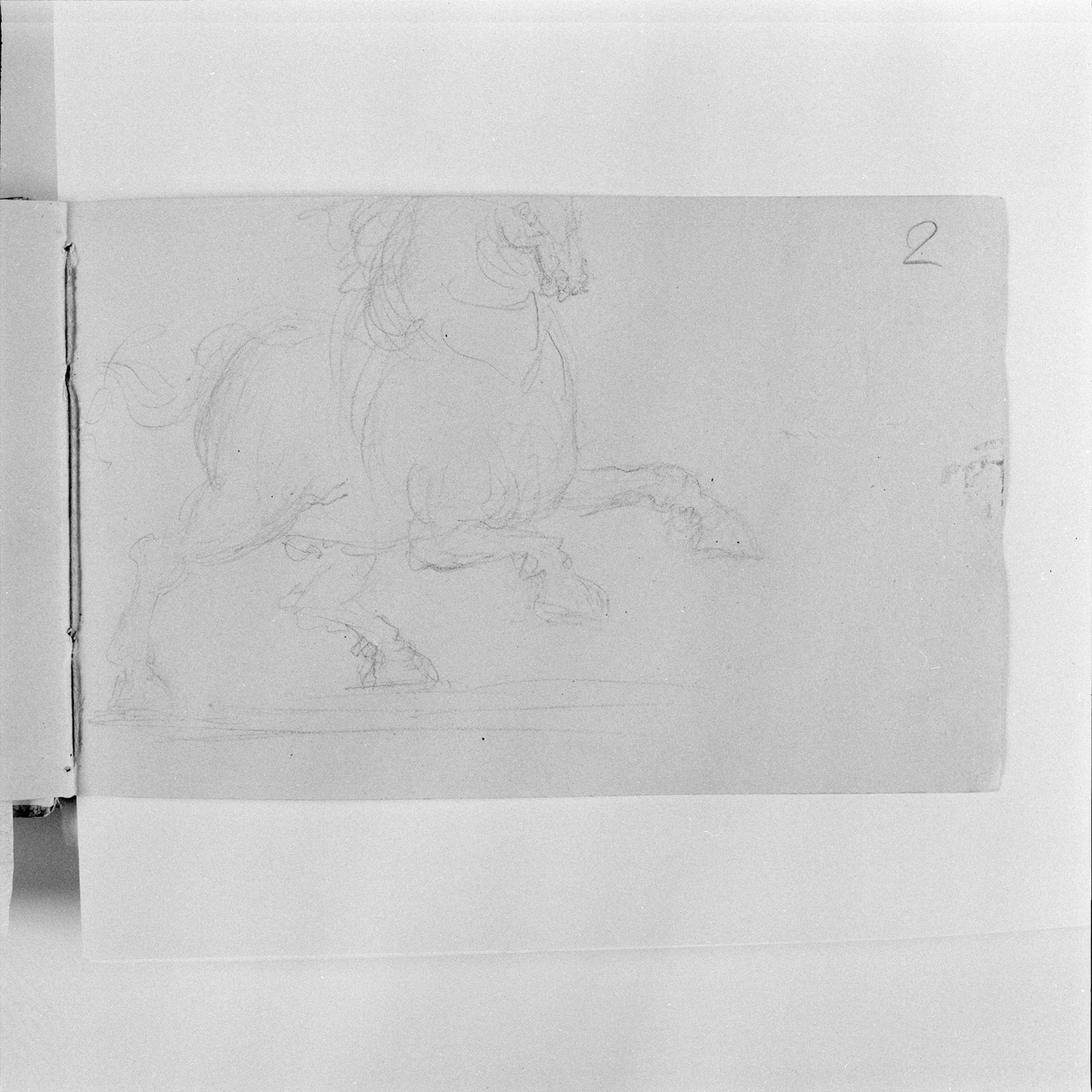 Studio di cavallo con le zampe anteriori sollevate (taccuino di disegni) di Canova Antonio (sec. XIX)