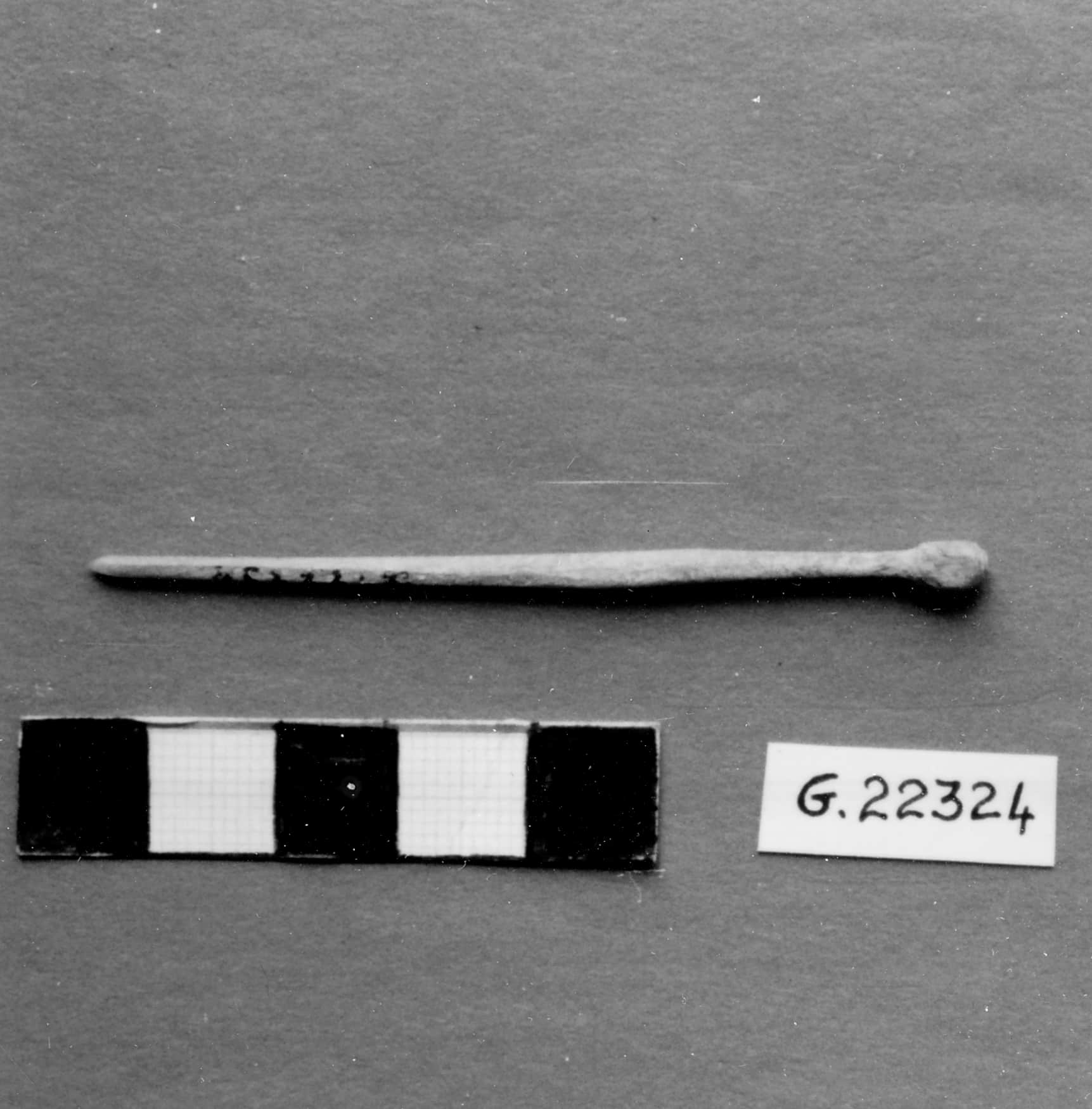 ago crinale (primo quarto)