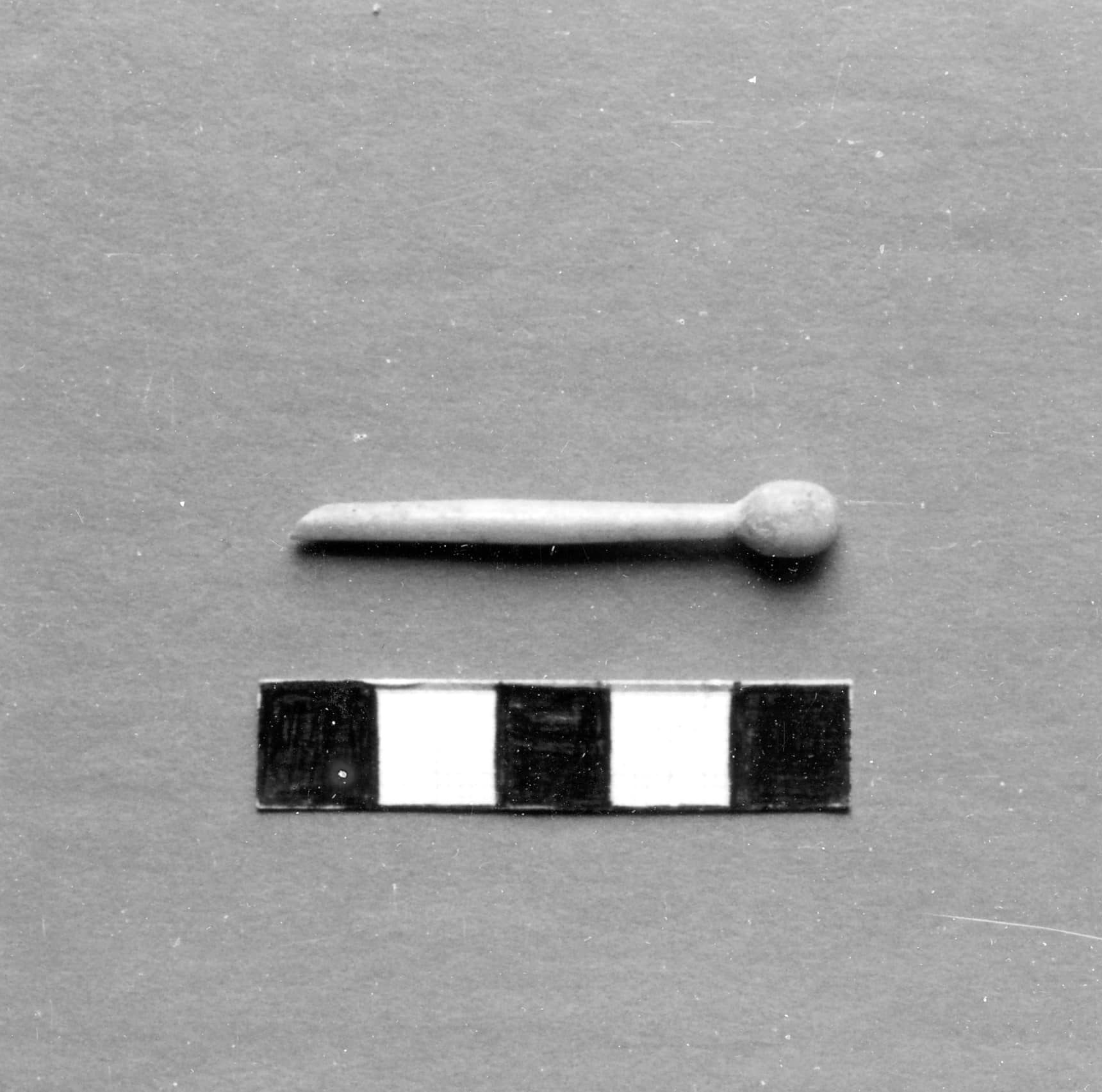 ago crinale (ultimo quarto)