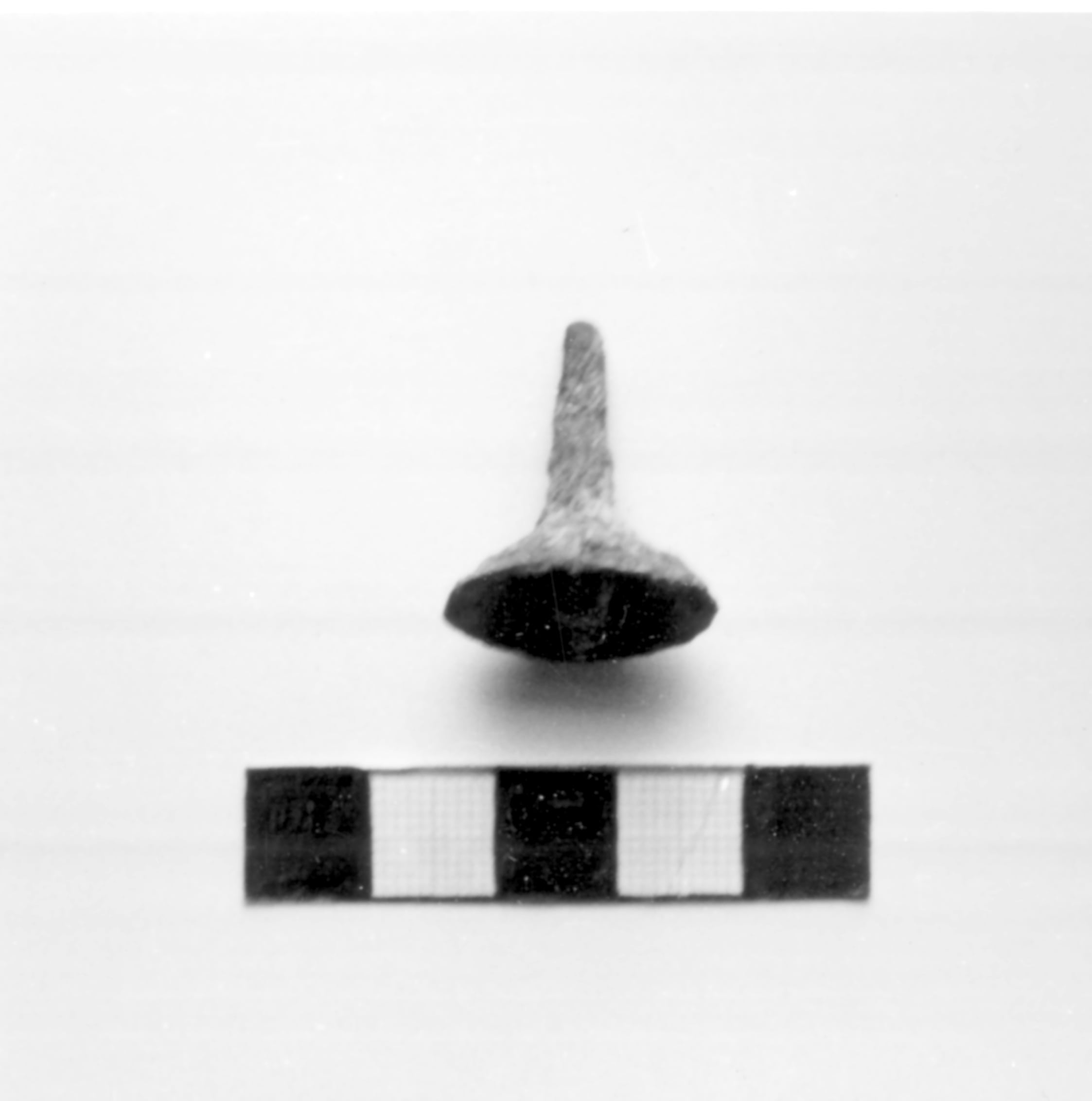 bottone (I sec. a.C)