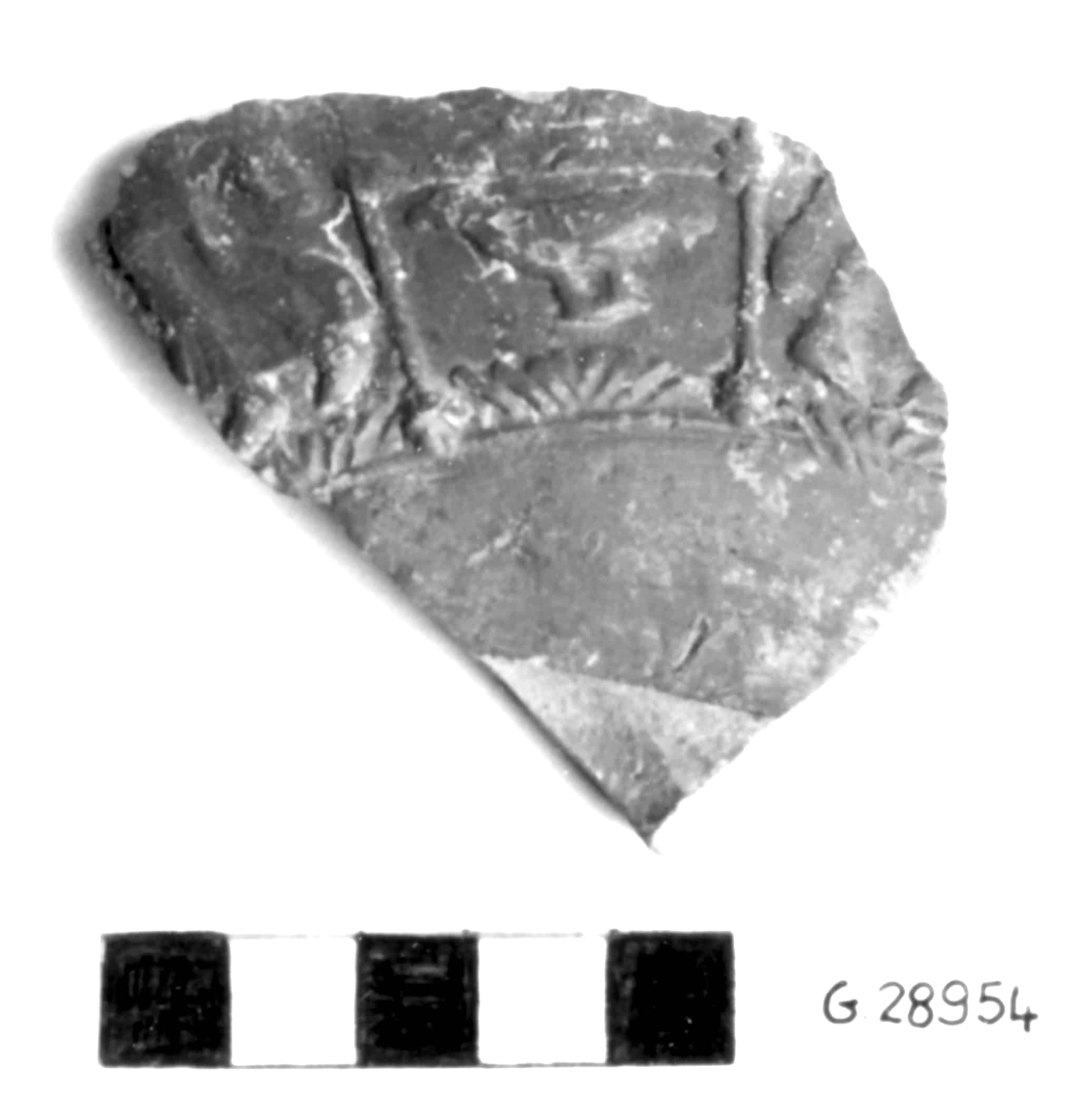 coppa - prod. della Francia meridionale (Valle del Tarn) (I sec. d.C)