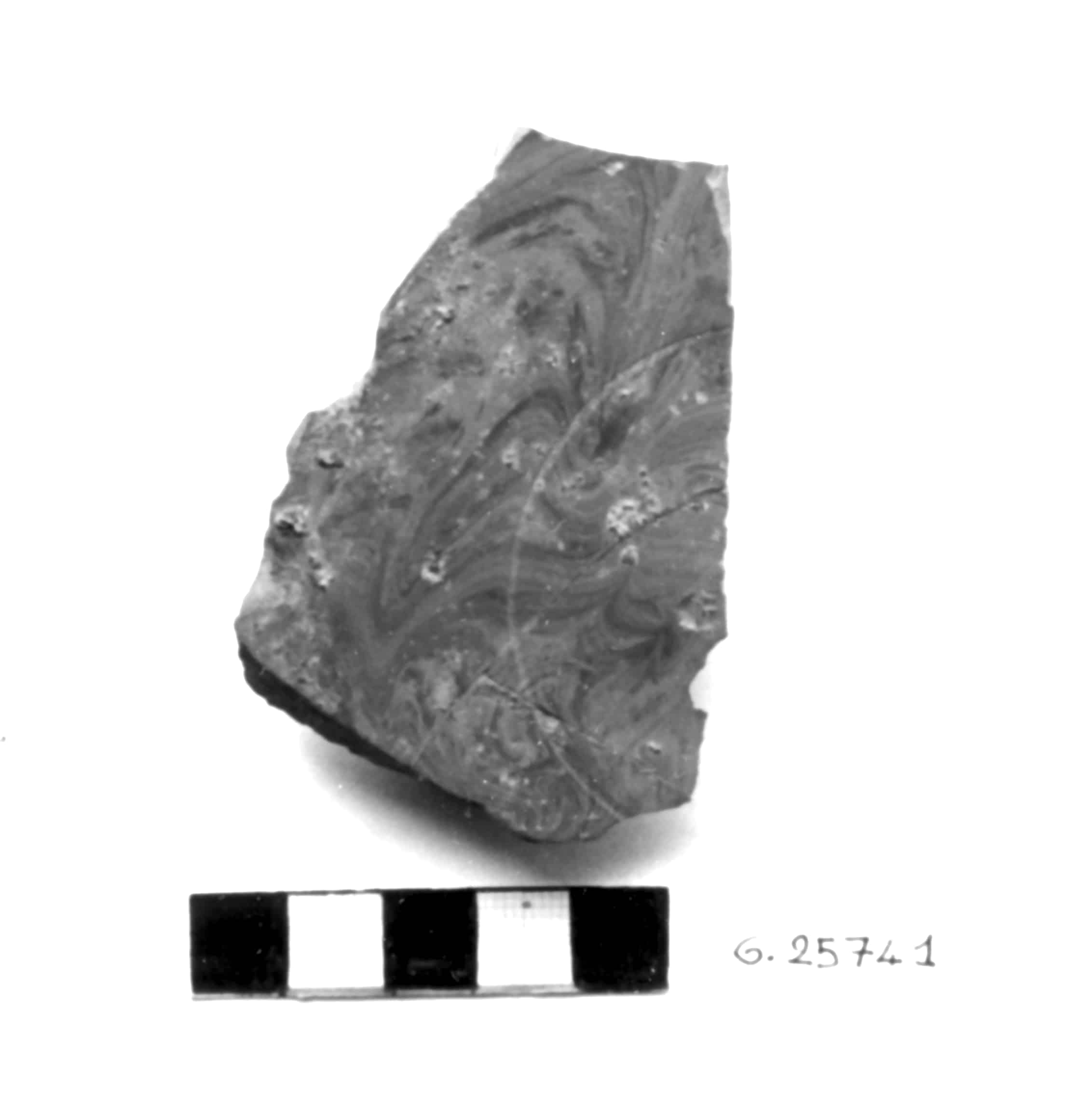 patera - prod. della Francia meridionale (Valle del Tarn) (I sec. d.C)