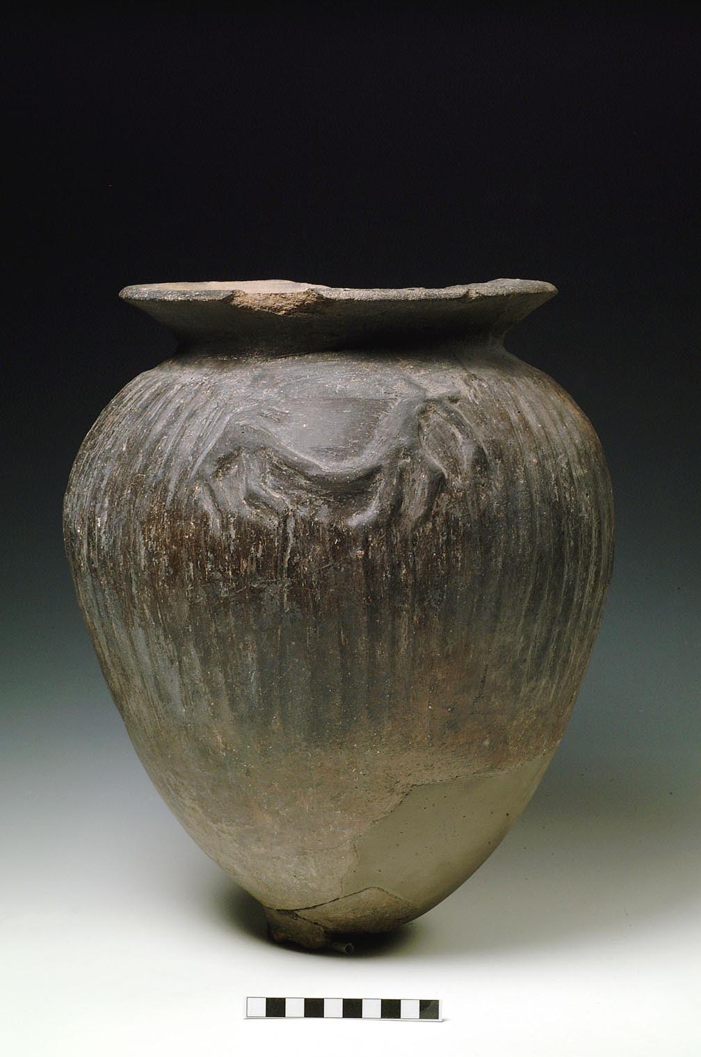 olla ovoide (seconda metà VII sec. a.C)