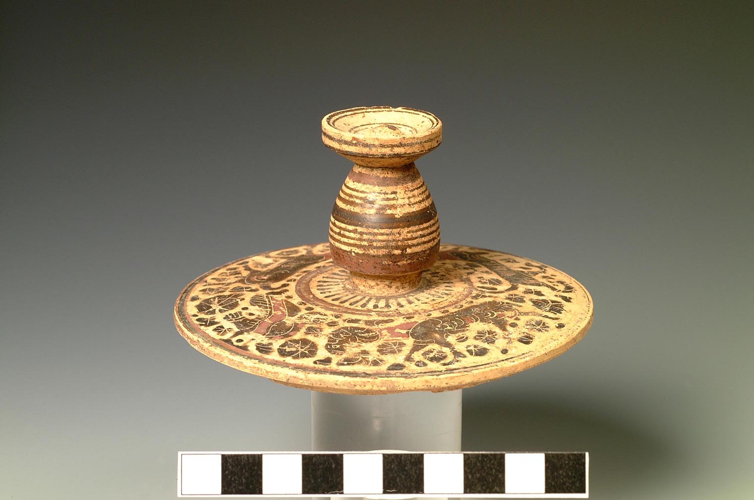 coperchio (inizio VI sec. a.C)