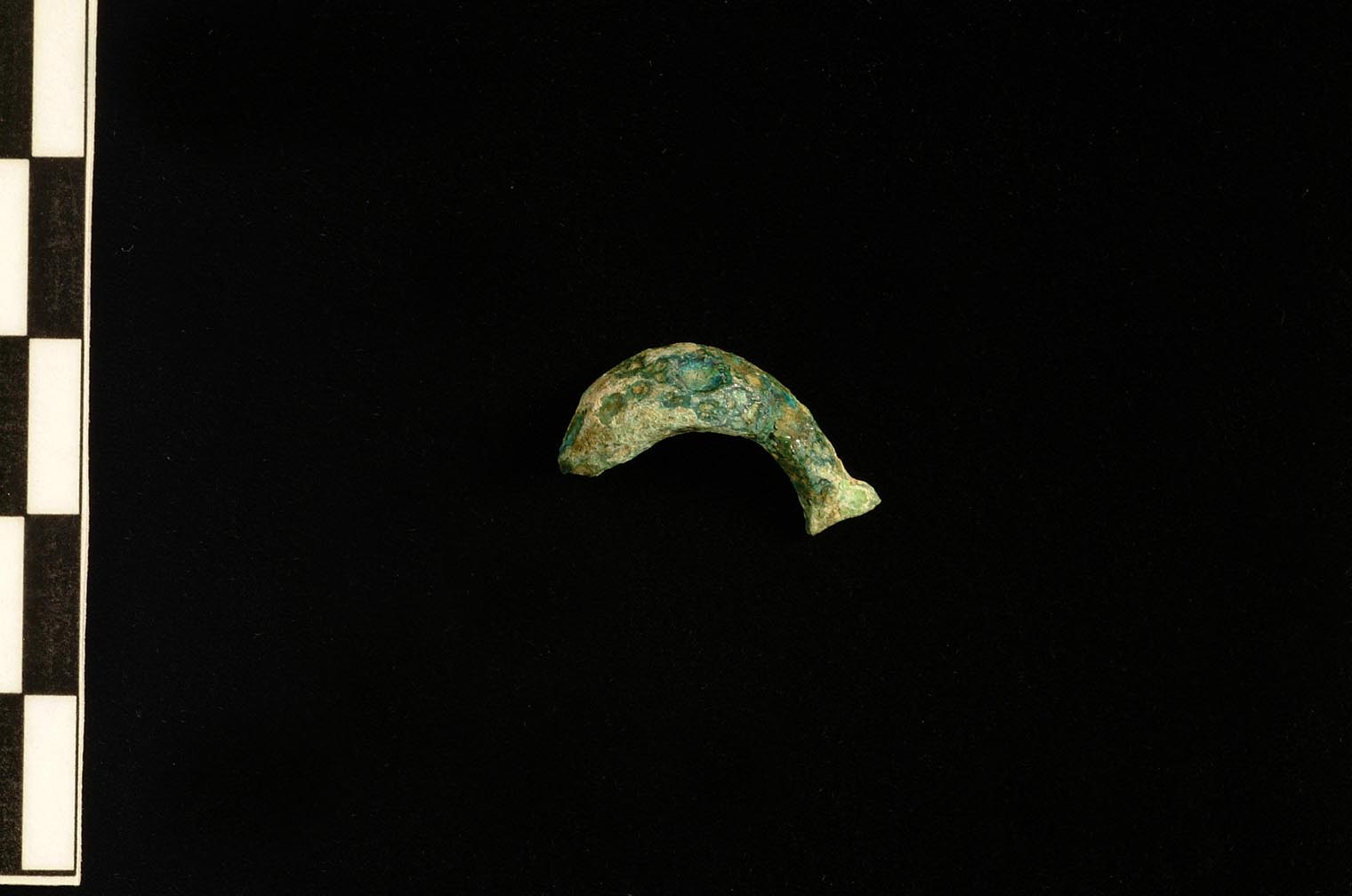 fibula a sanguisuga (VII sec. a.C)