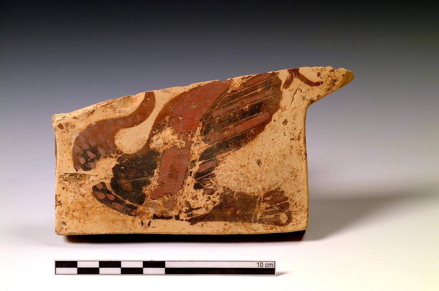 cratere/ frammento (primo quarto VI sec. a.C)