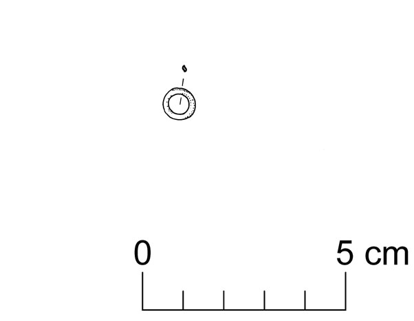 anellino (VII sec. a.C)