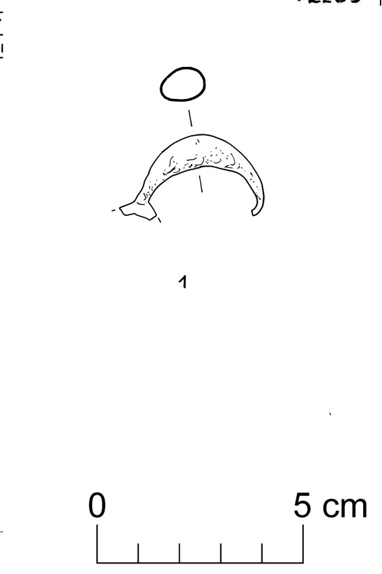 fibula a sanguisuga (VII sec. a.C)