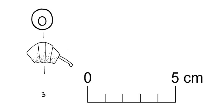 fibula/ frammento (VII sec. d.C)