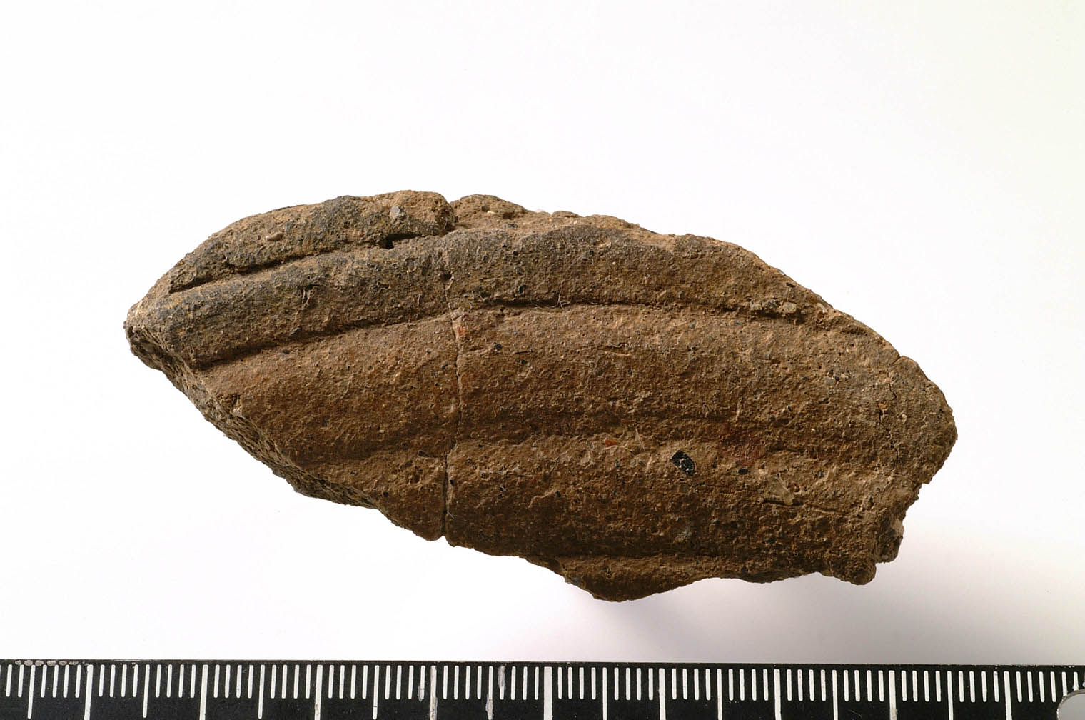 olla/frammento (prima metà VI sec. a.C)