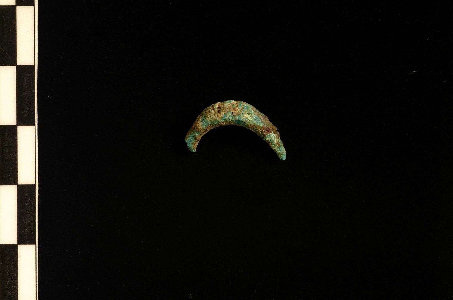 fibula a sanguisuga (VII sec. a.C)