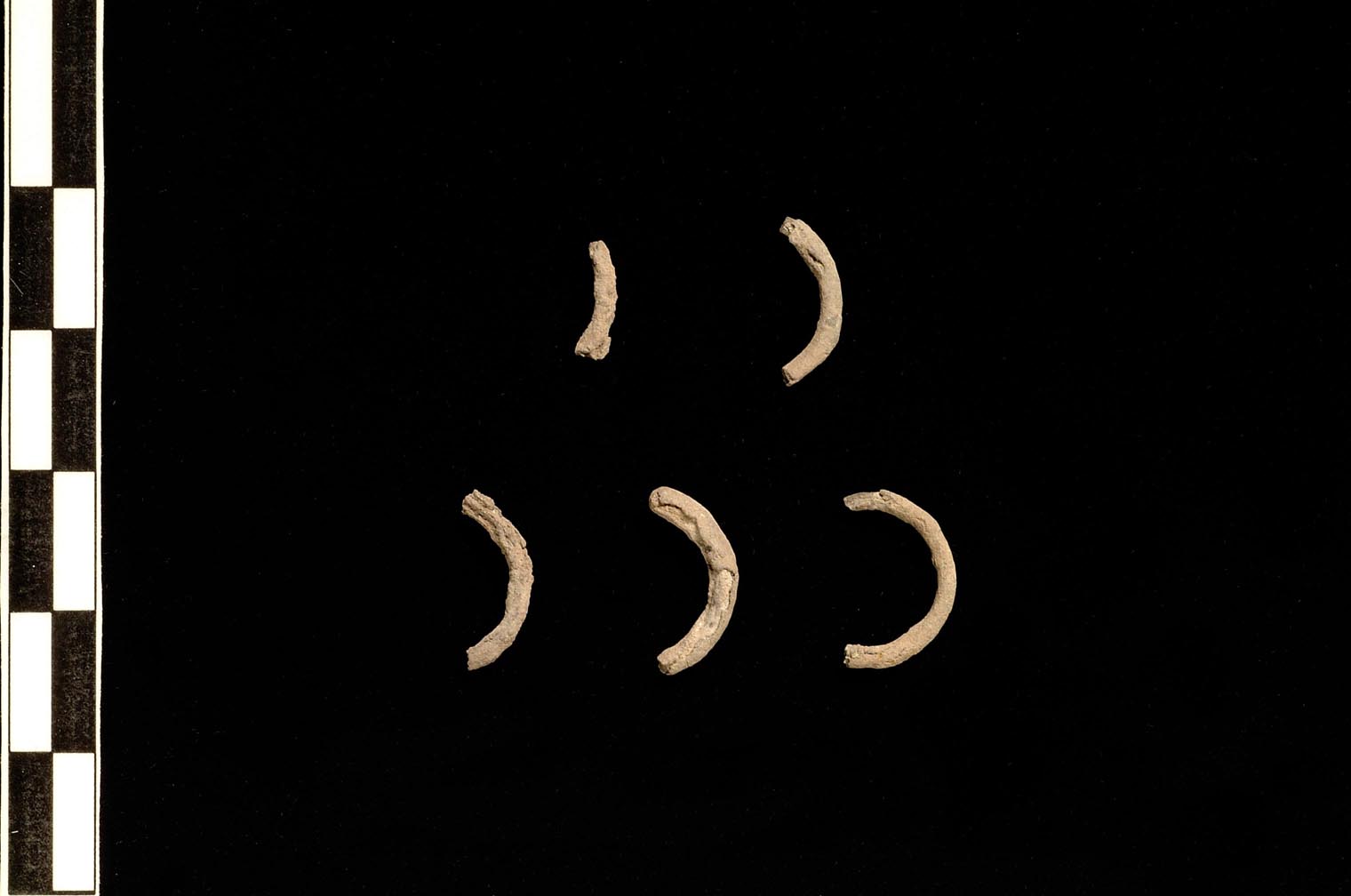 anello/ frammento (VII sec. a.C)