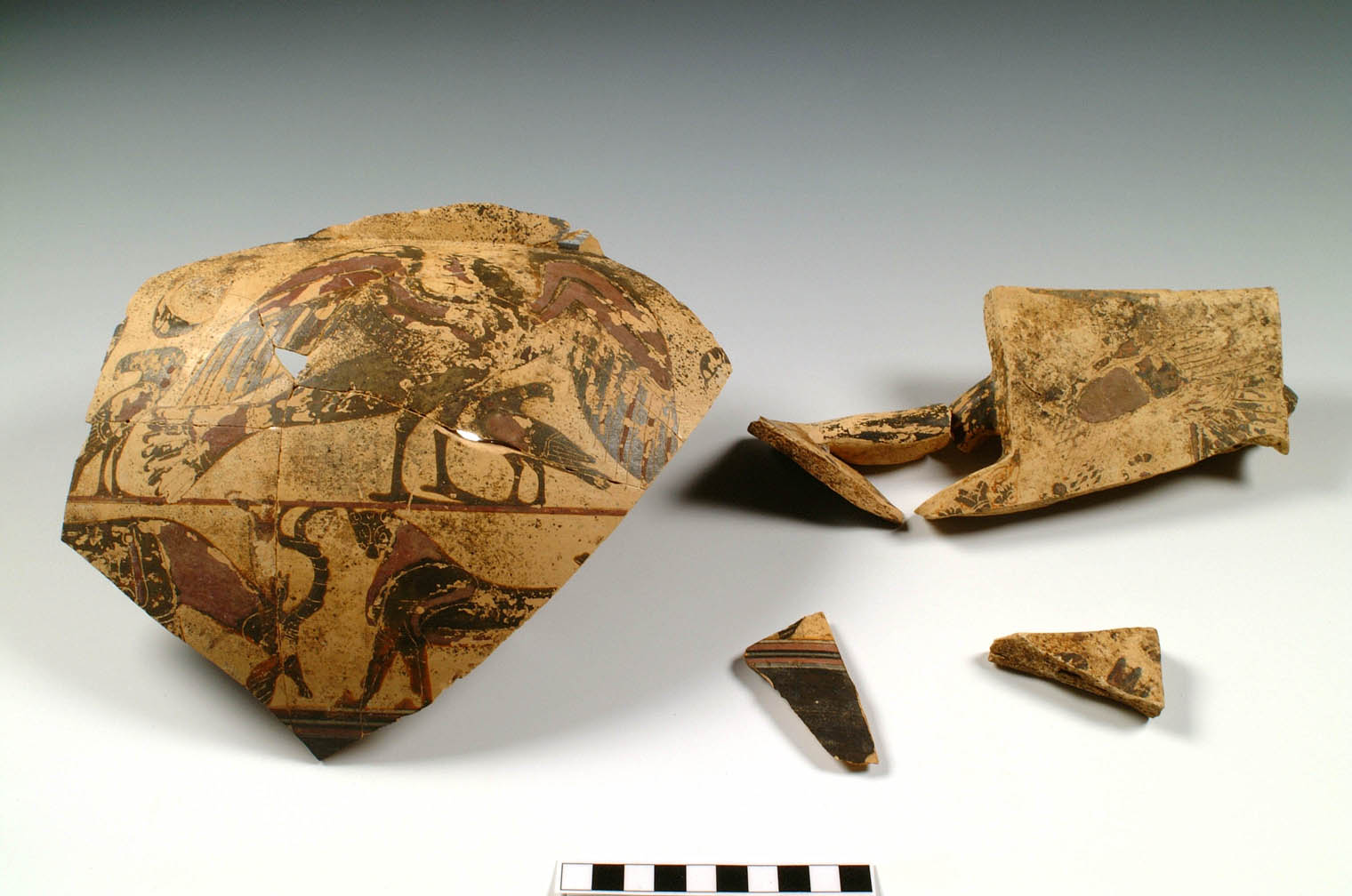 cratere/ frammento (primo quarto VI sec. a.C)