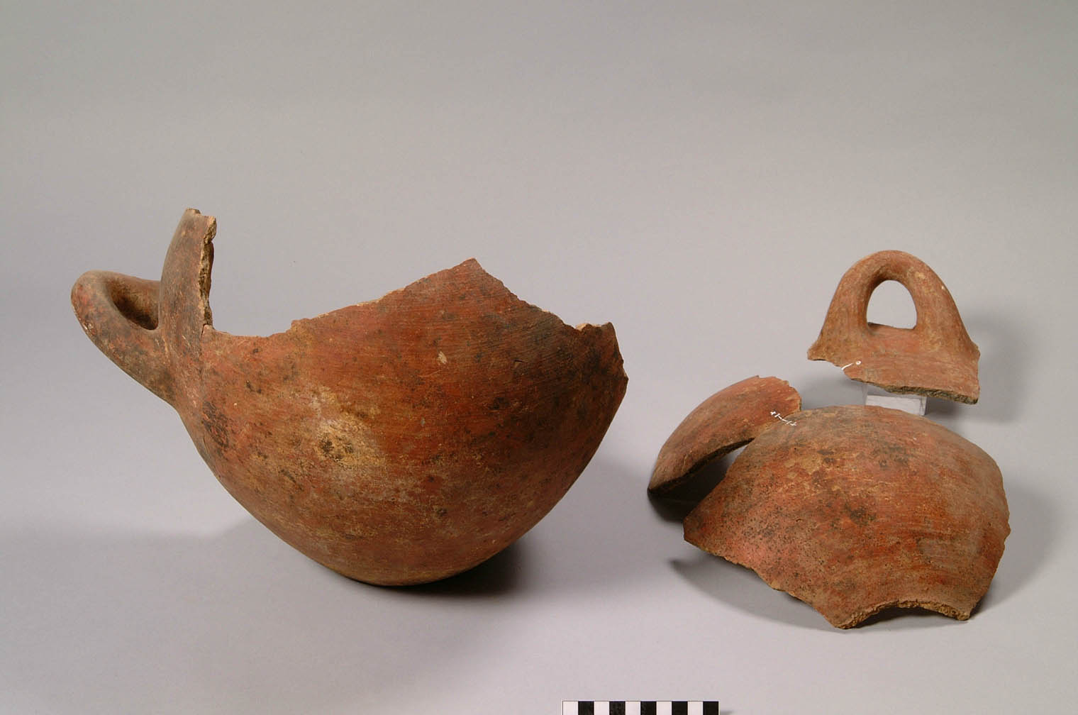 olla biansata (prima metà VI sec. a.C)