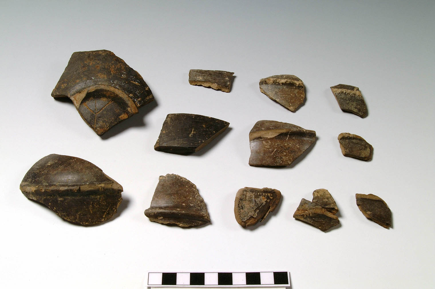 anfora/ frammento (prima metà VI sec. a.C)