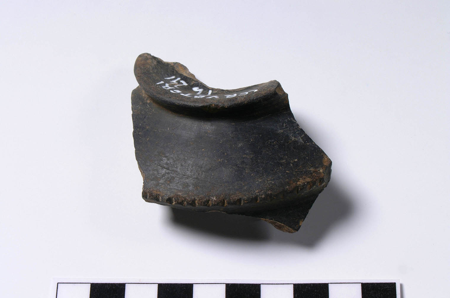 recipiente, forma aperta (seconda metà VI sec. a.C)