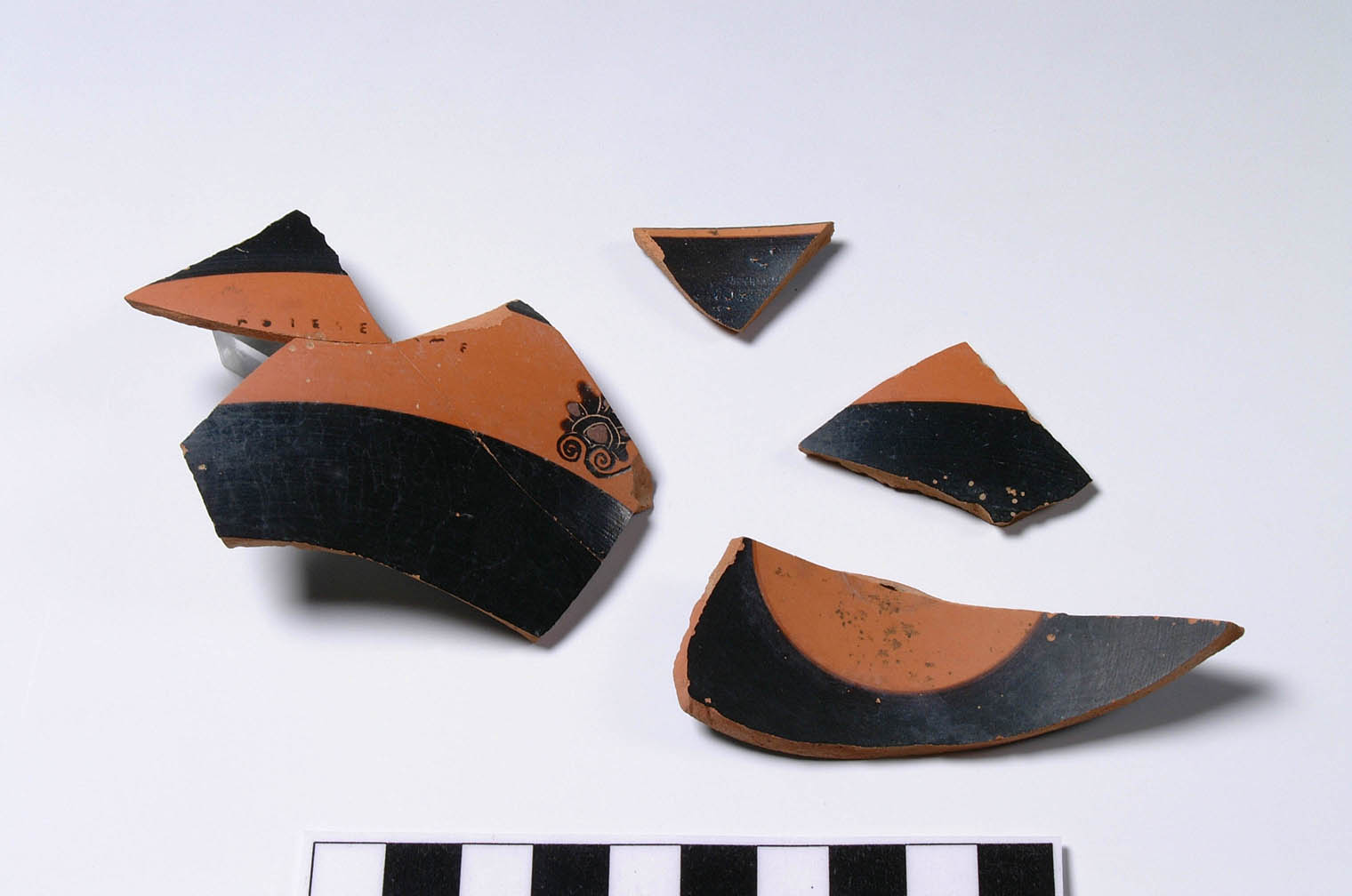 kylix/ frammento (terzo quarto VI sec. a.C)