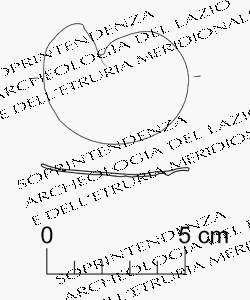 fibula (seconda metà IX sec. a.C)