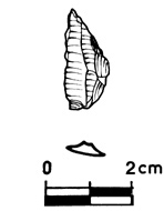 lama (seconda metà/ seconda met IV millennio a.C./ III millennio a.C)