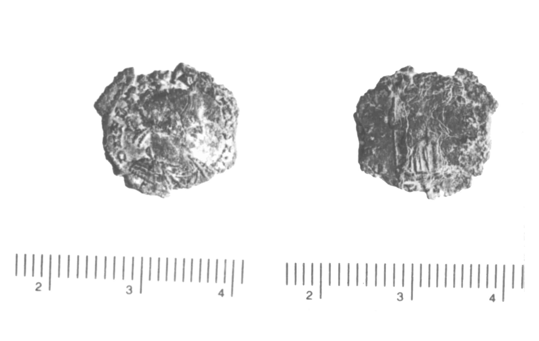 moneta - follis (IV)