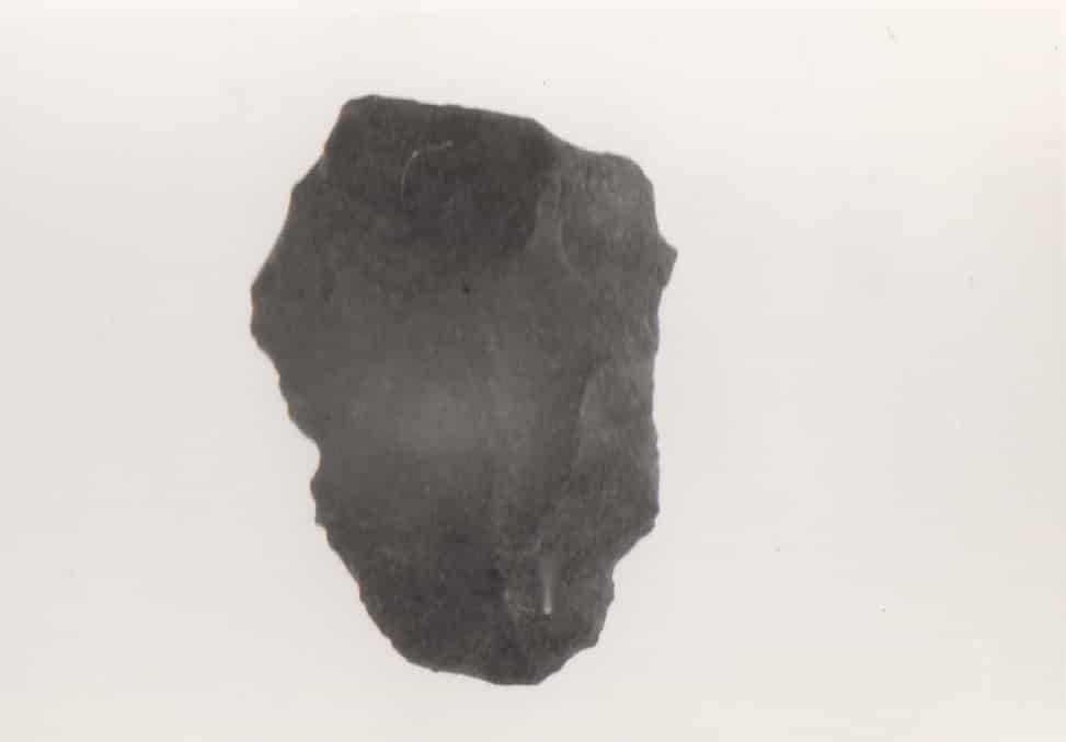 scheggia (Paleolitico medio)