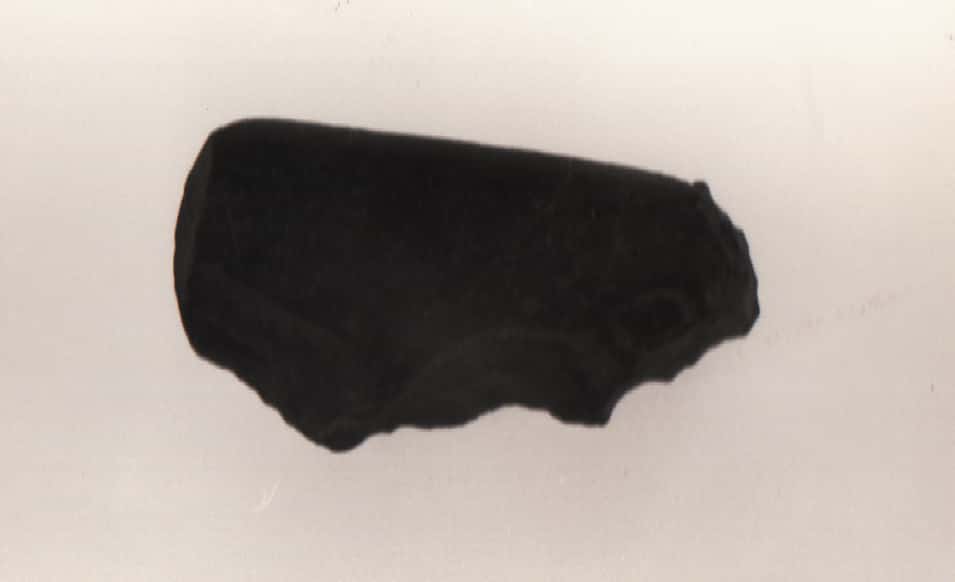 denticolato (Paleolitico medio)