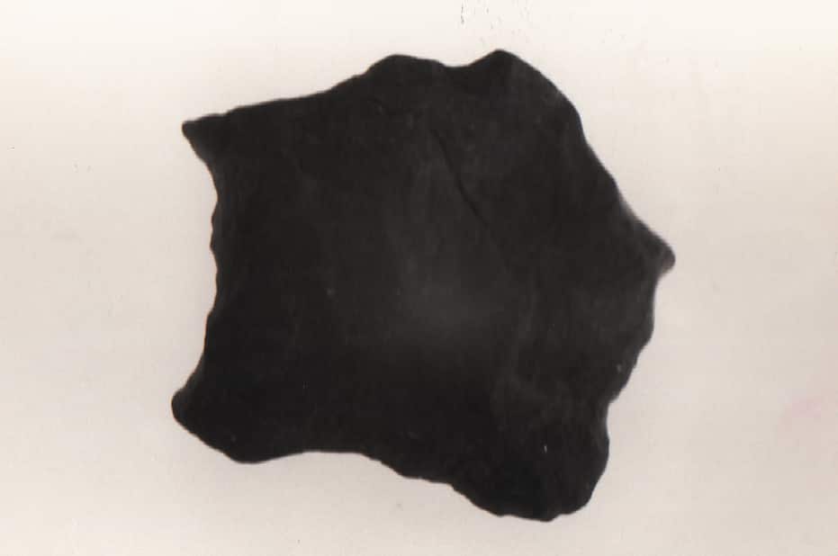 punteruolo (Paleolitico medio)