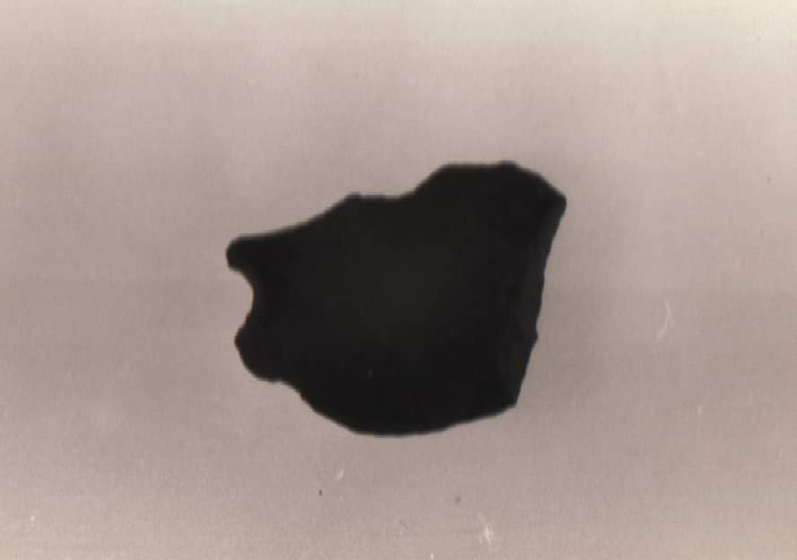 scheggia (Paleolitico medio)