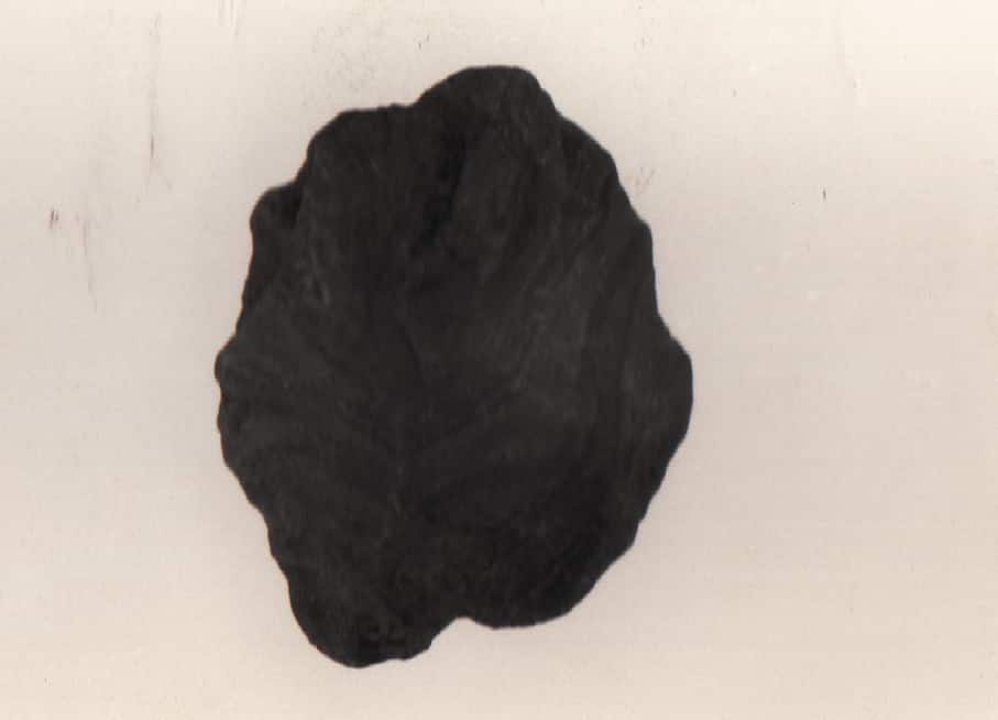 scheggia (Paleolitico medio)