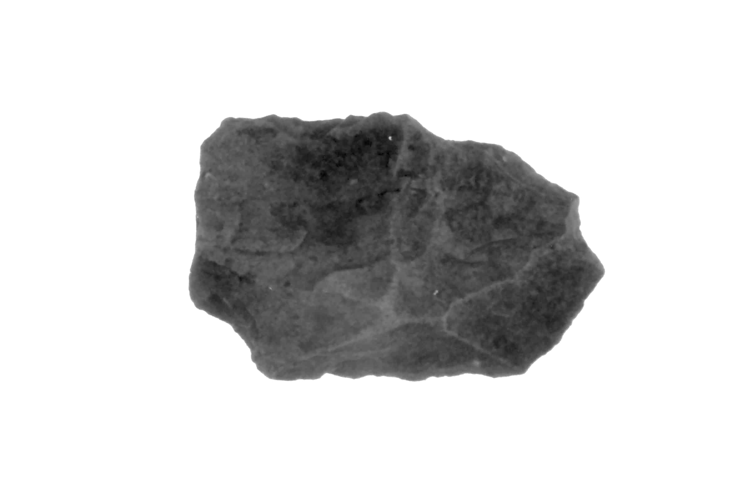 raschiatoio (Paleolitico medio)