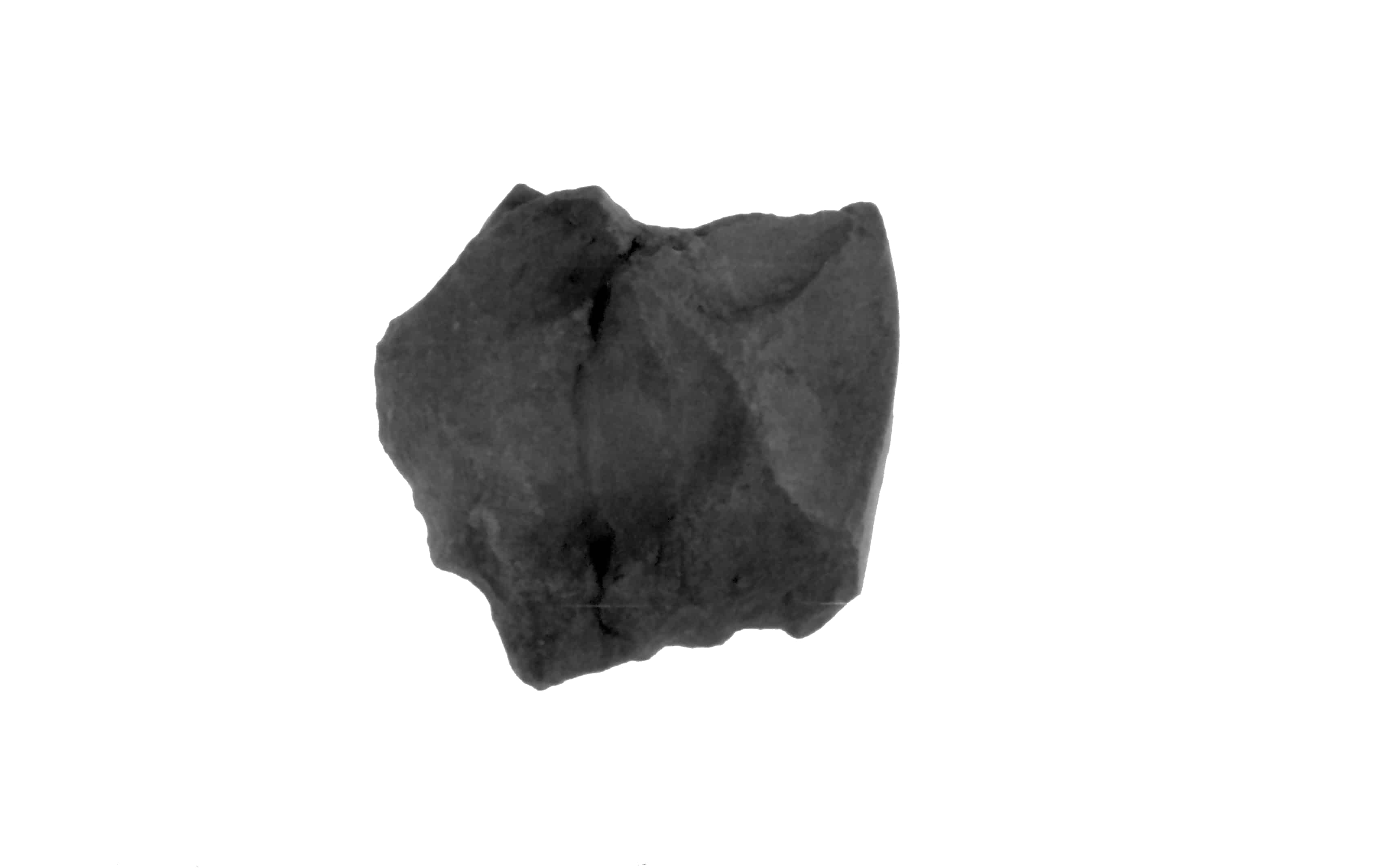 scheggia (Paleolitico medio)