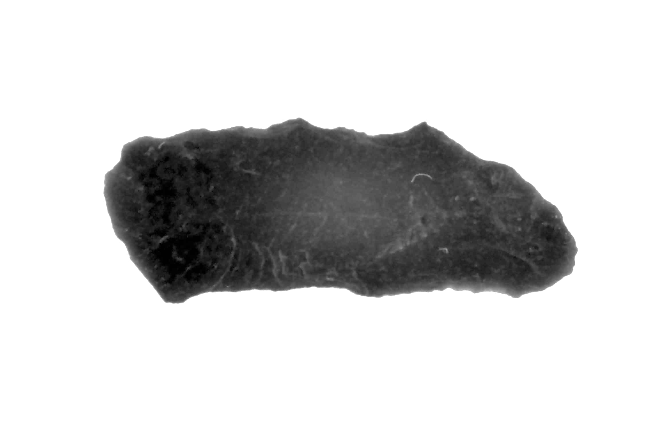 denticolato (Paleolitico medio)