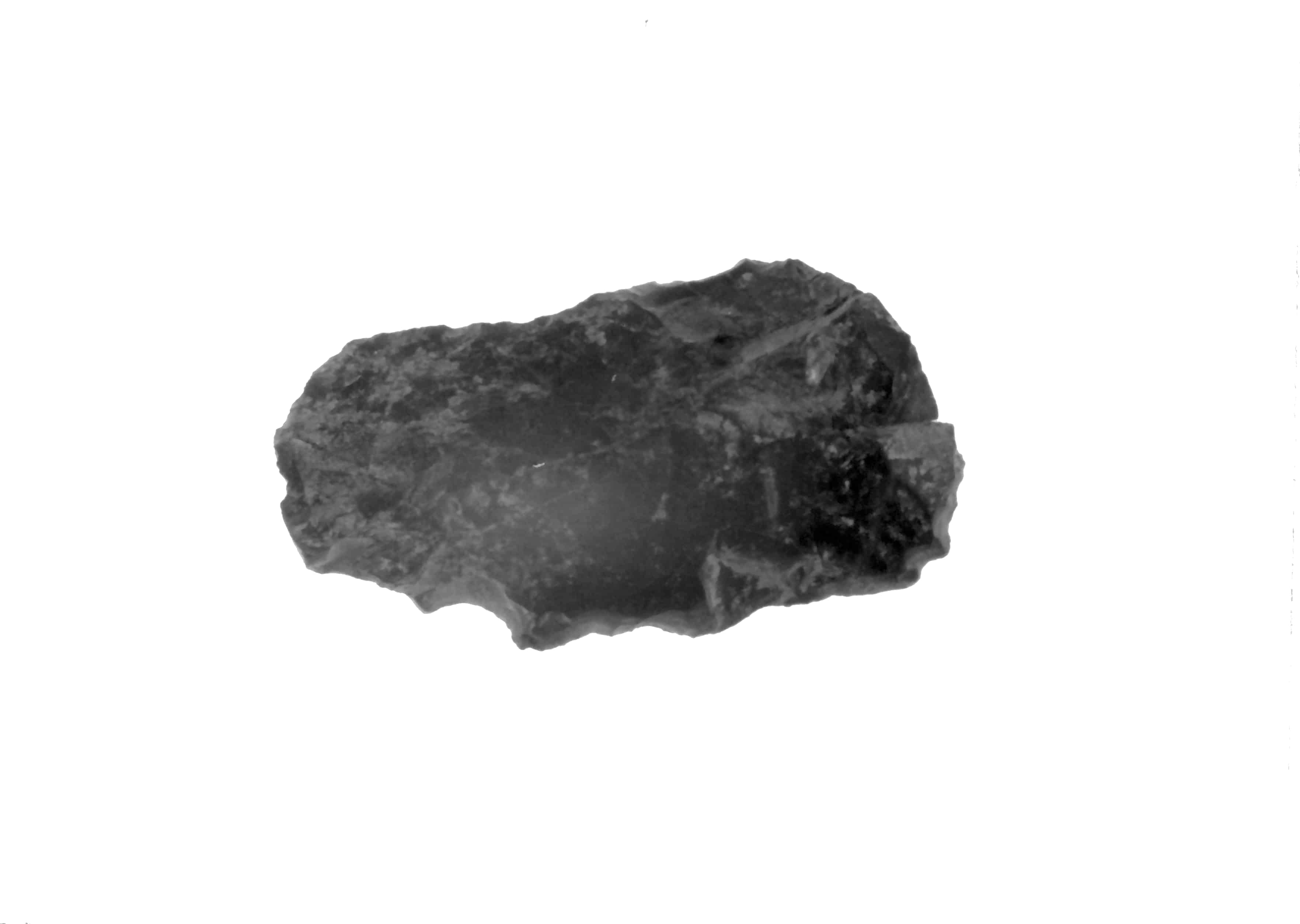 denticolato (Paleolitico medio)