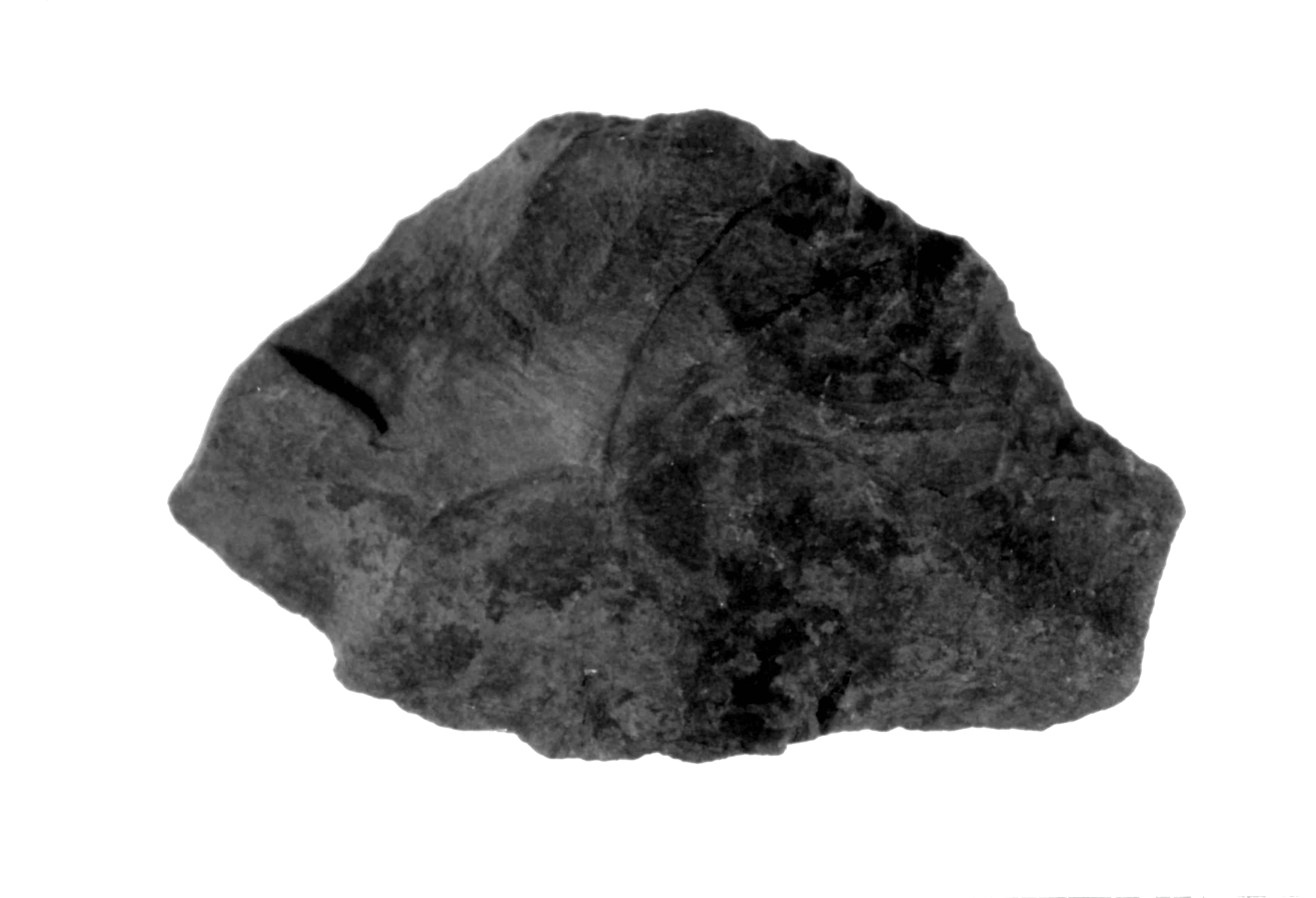 raschiatoio (Paleolitico medio)