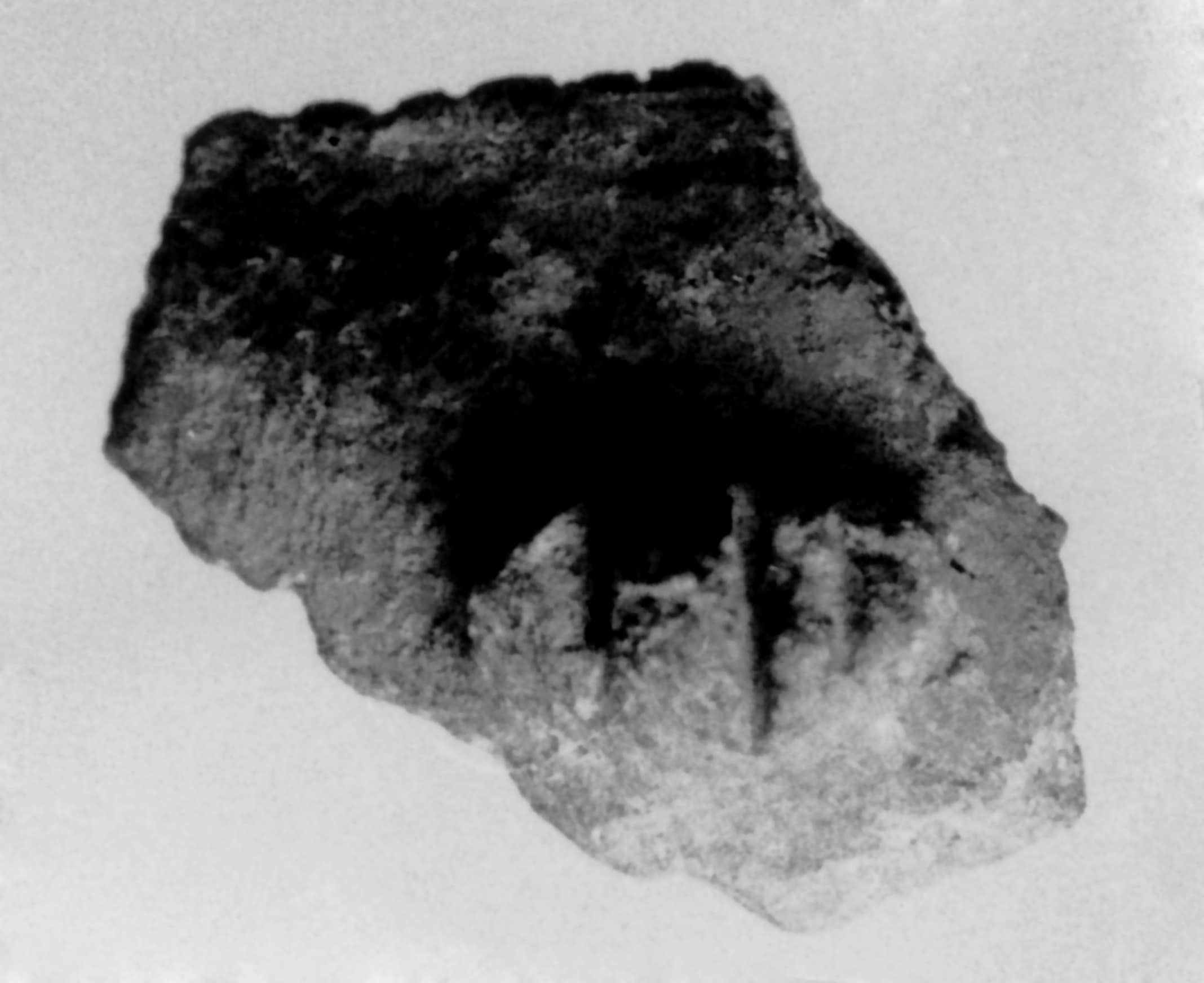 vaso (Neolitico inferiore)