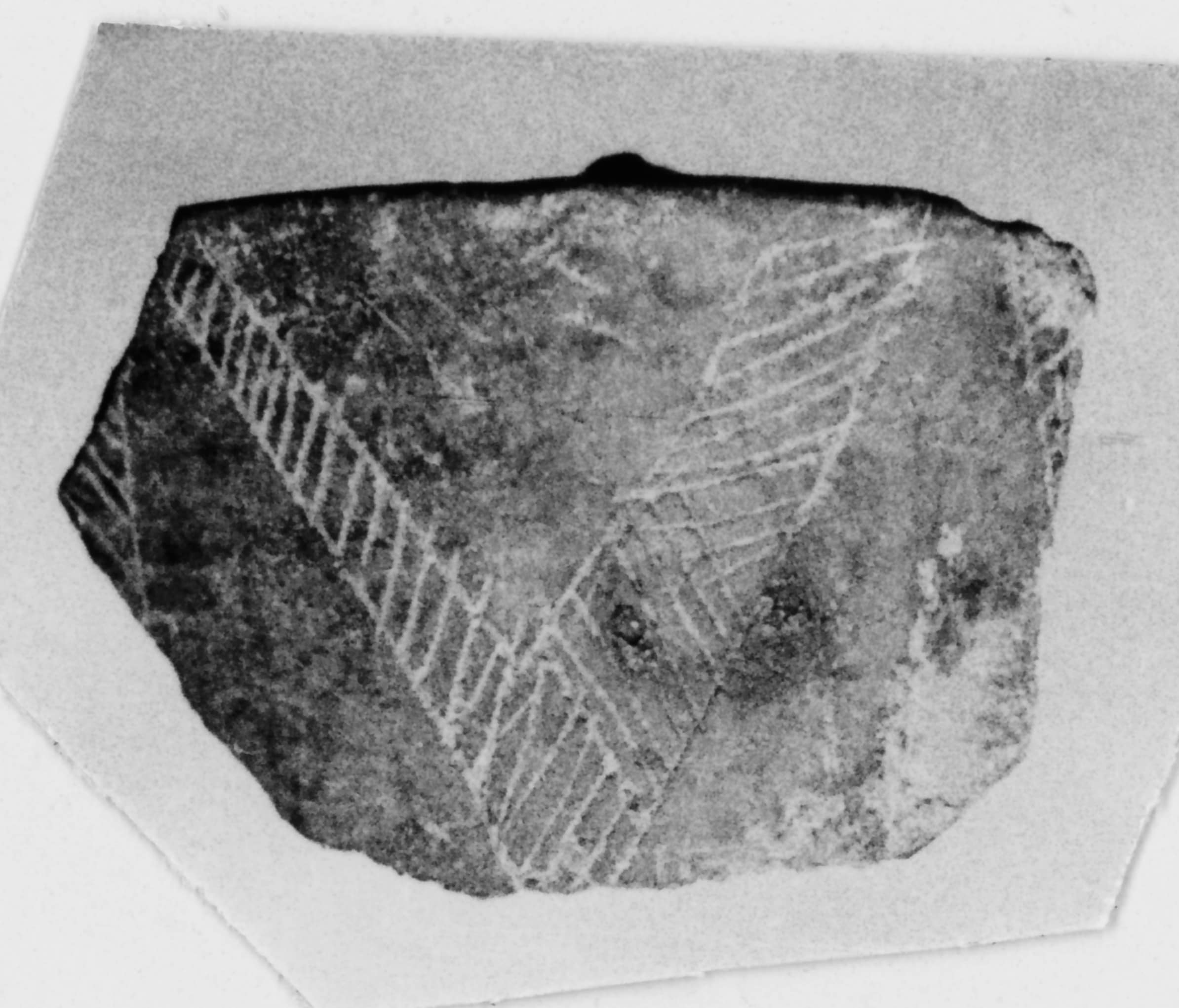 orcio (Neolitico medio)