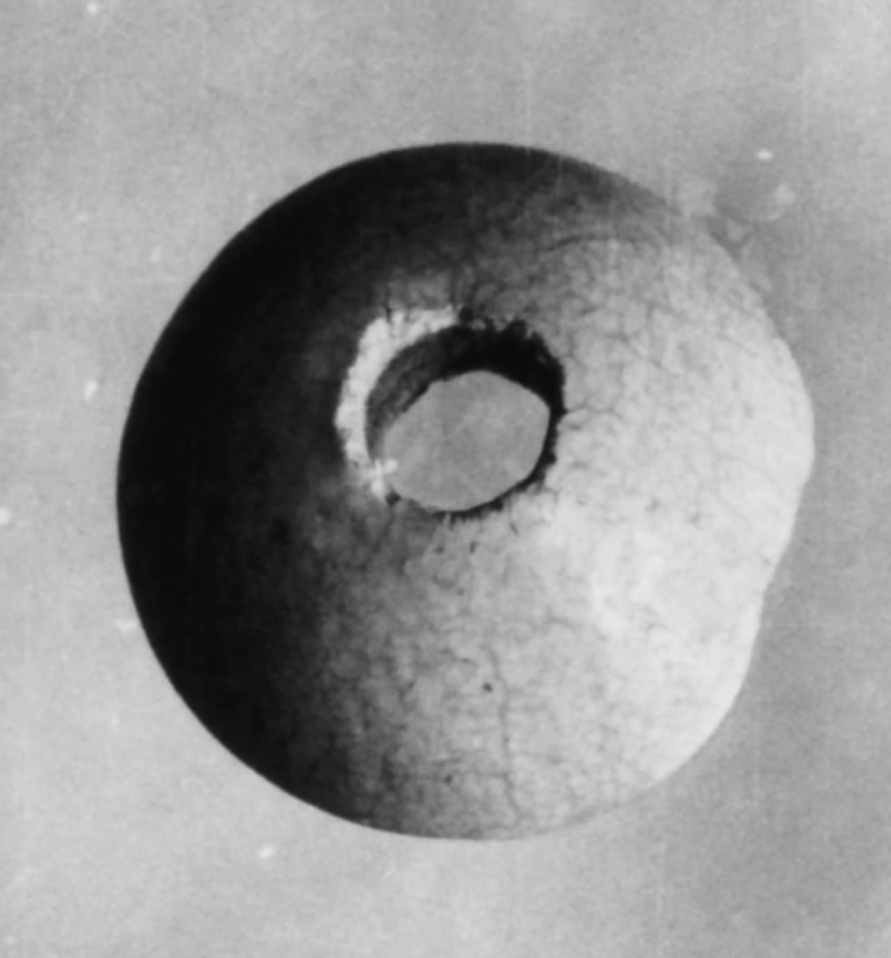 fuseruola (Neolitico superiore)