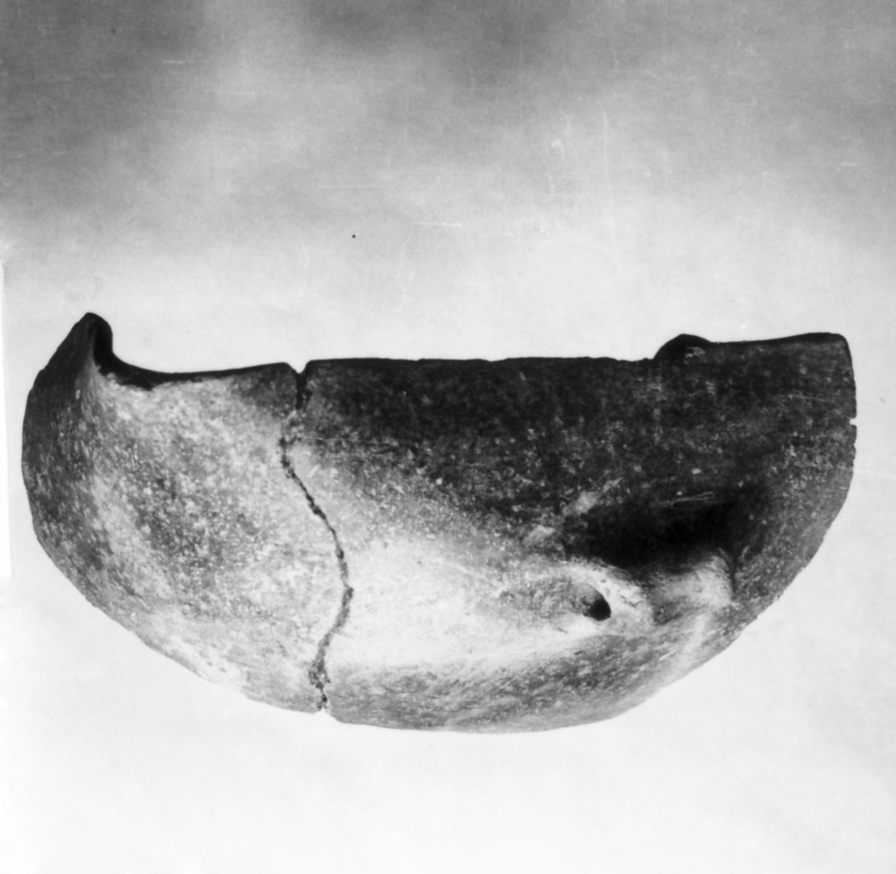 tazza (Neolitico medio)