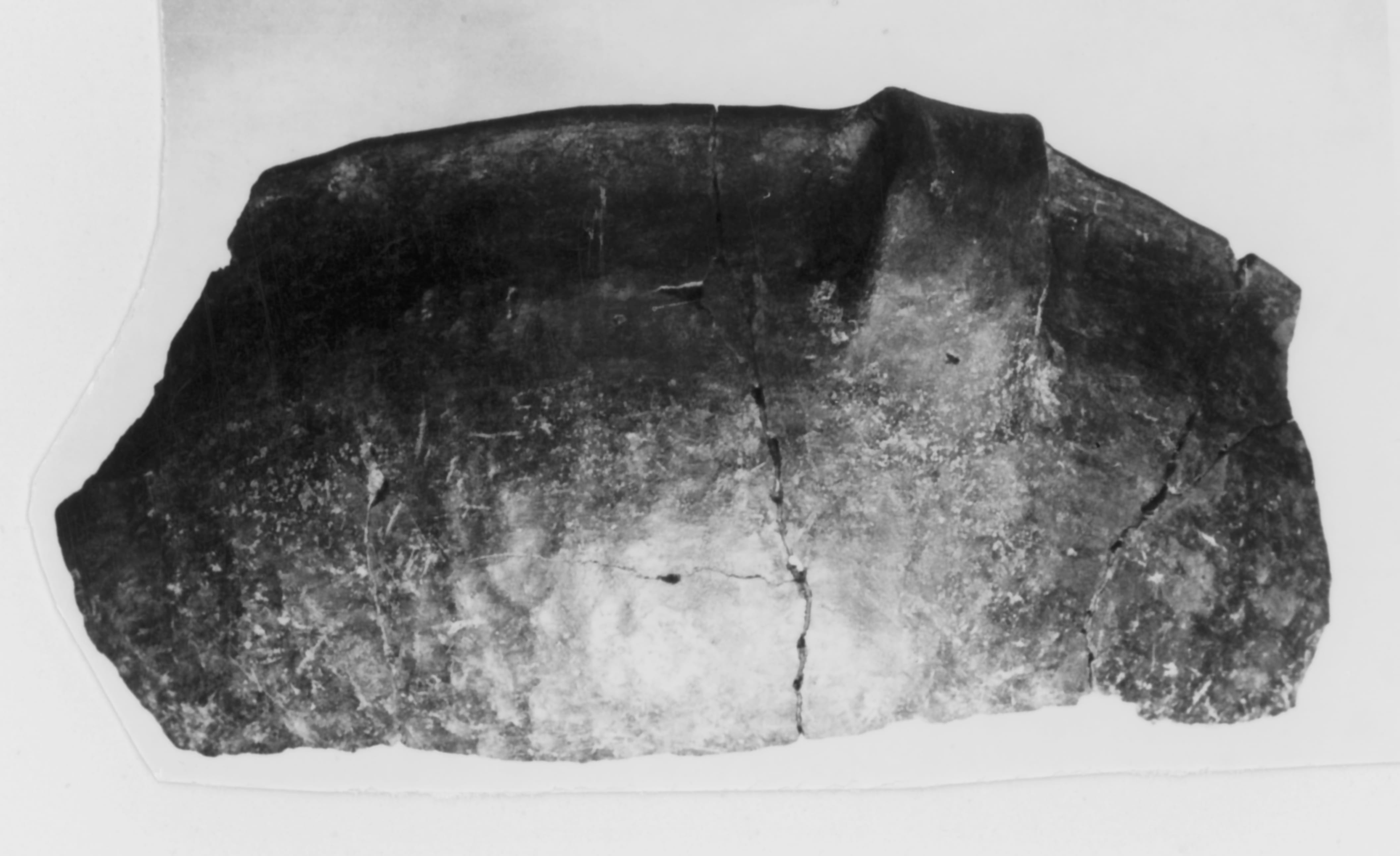 olla (Tarda età del Bronzo)