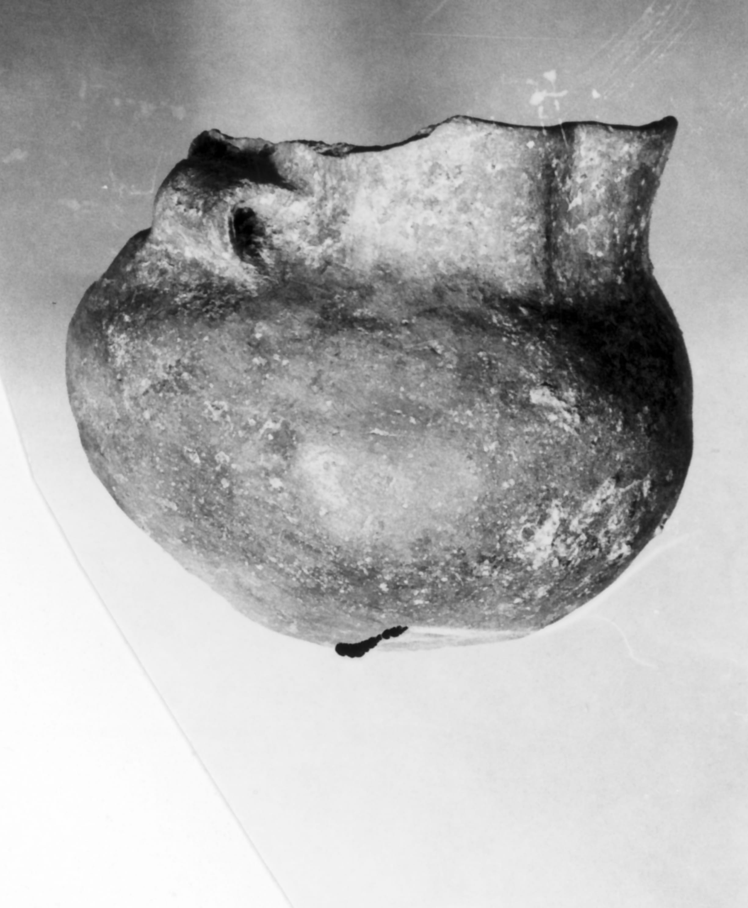 fiasco (Neolitico medio)