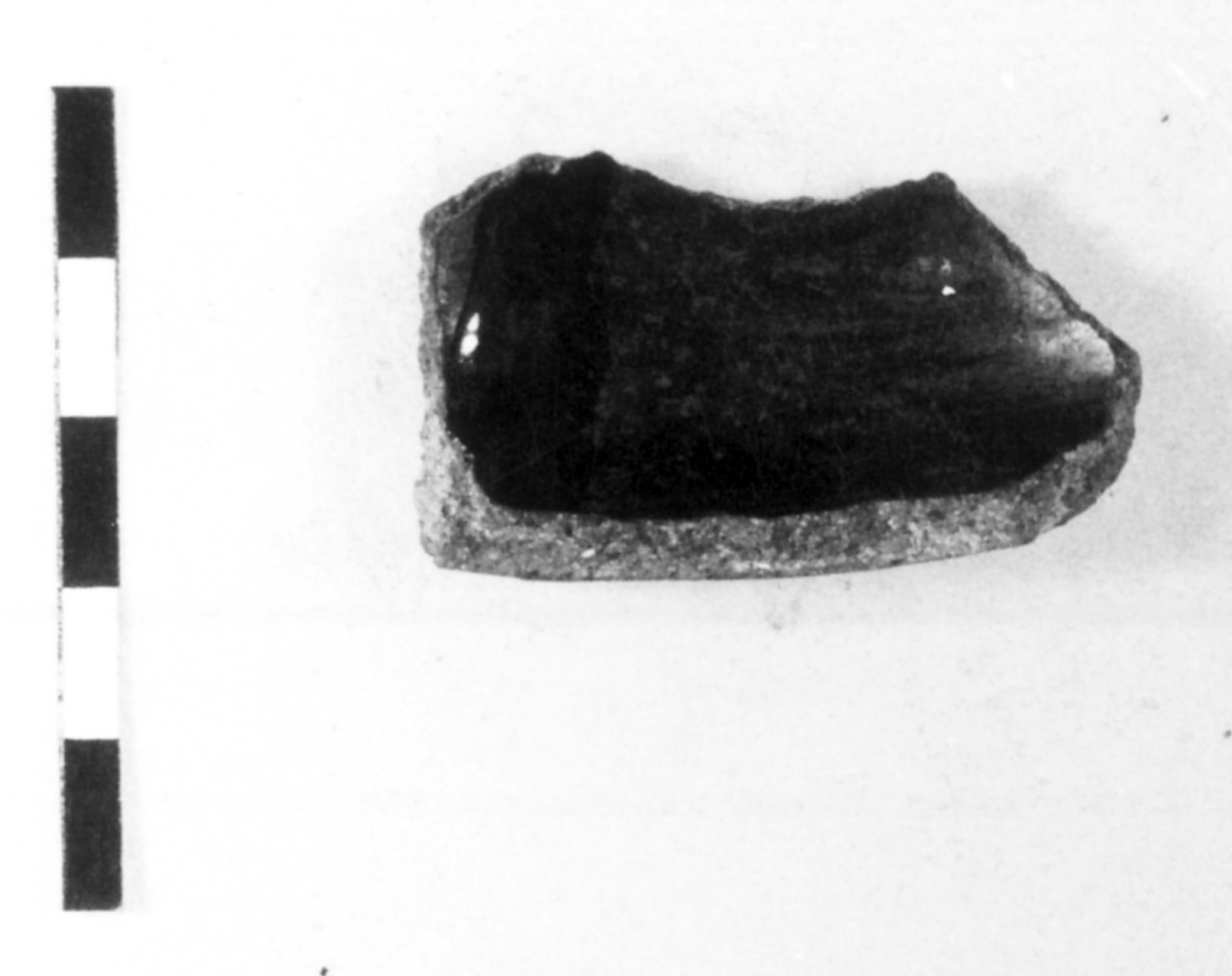 tazza (Neolitico superiore)