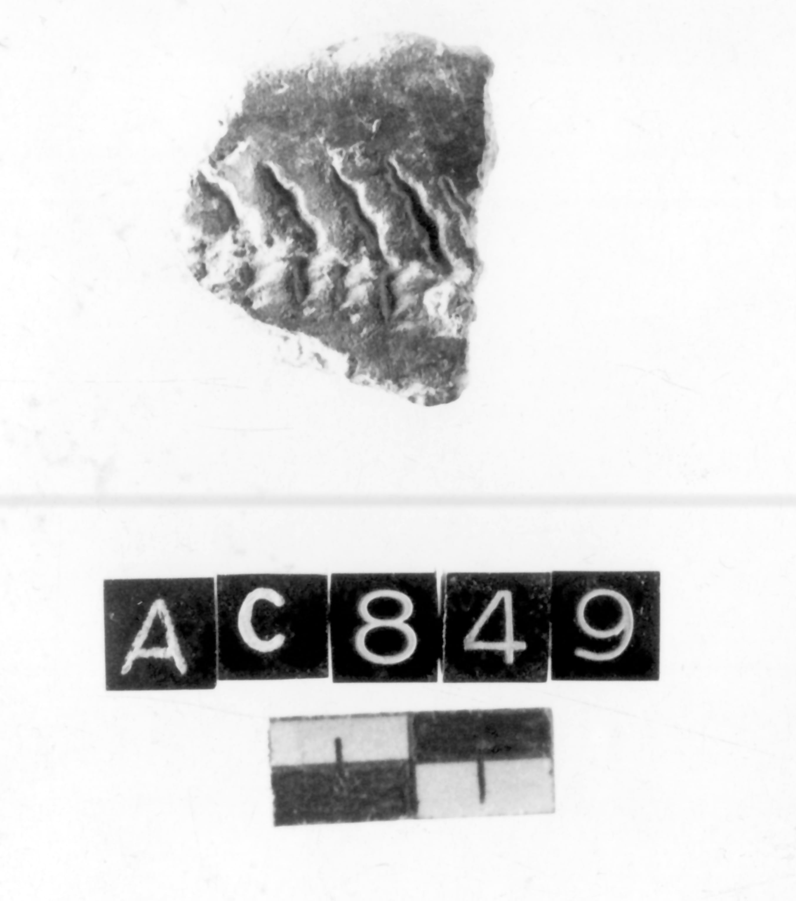 olla (Neolitico antico)