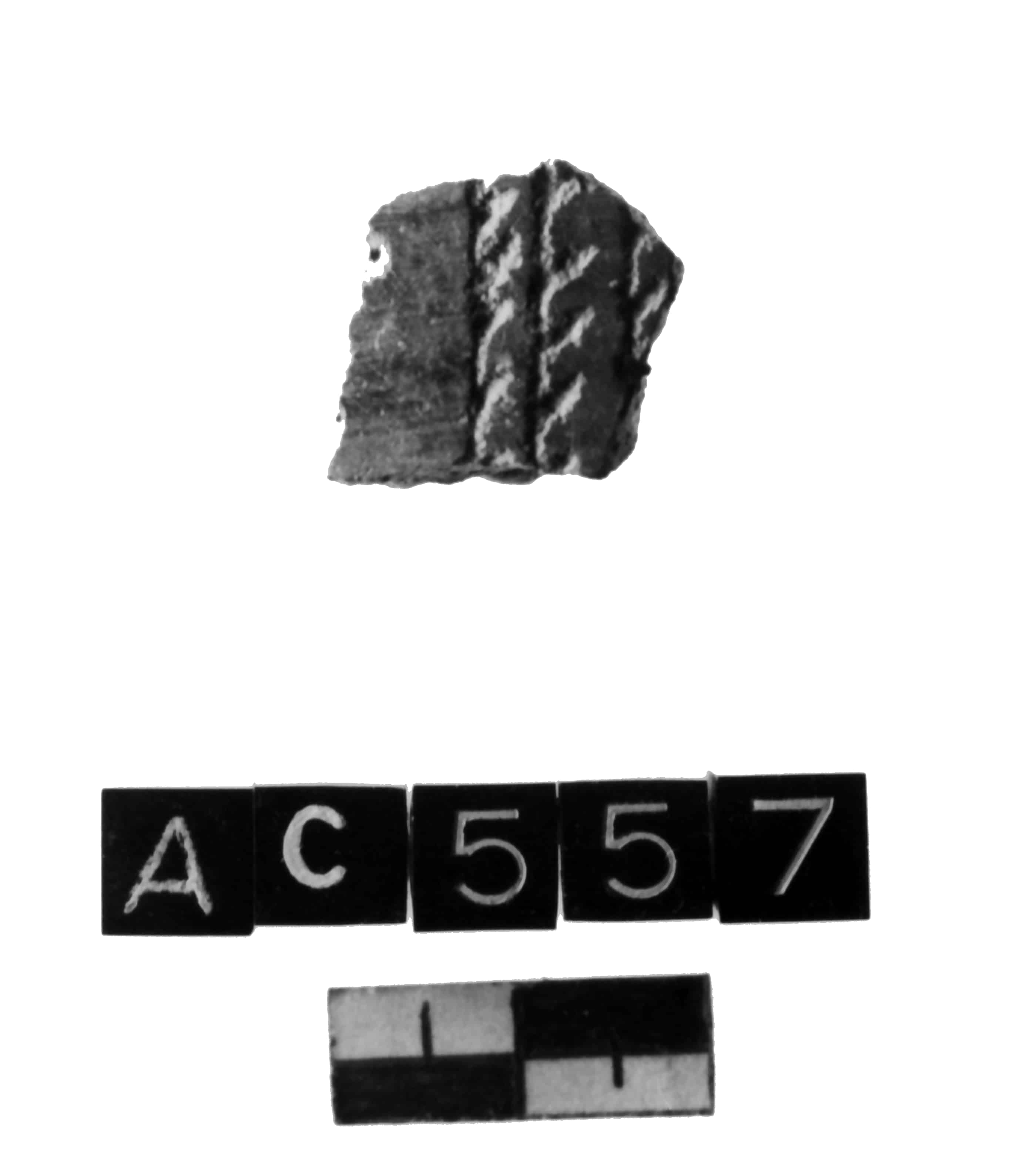 vaso (Neolitico antico II)