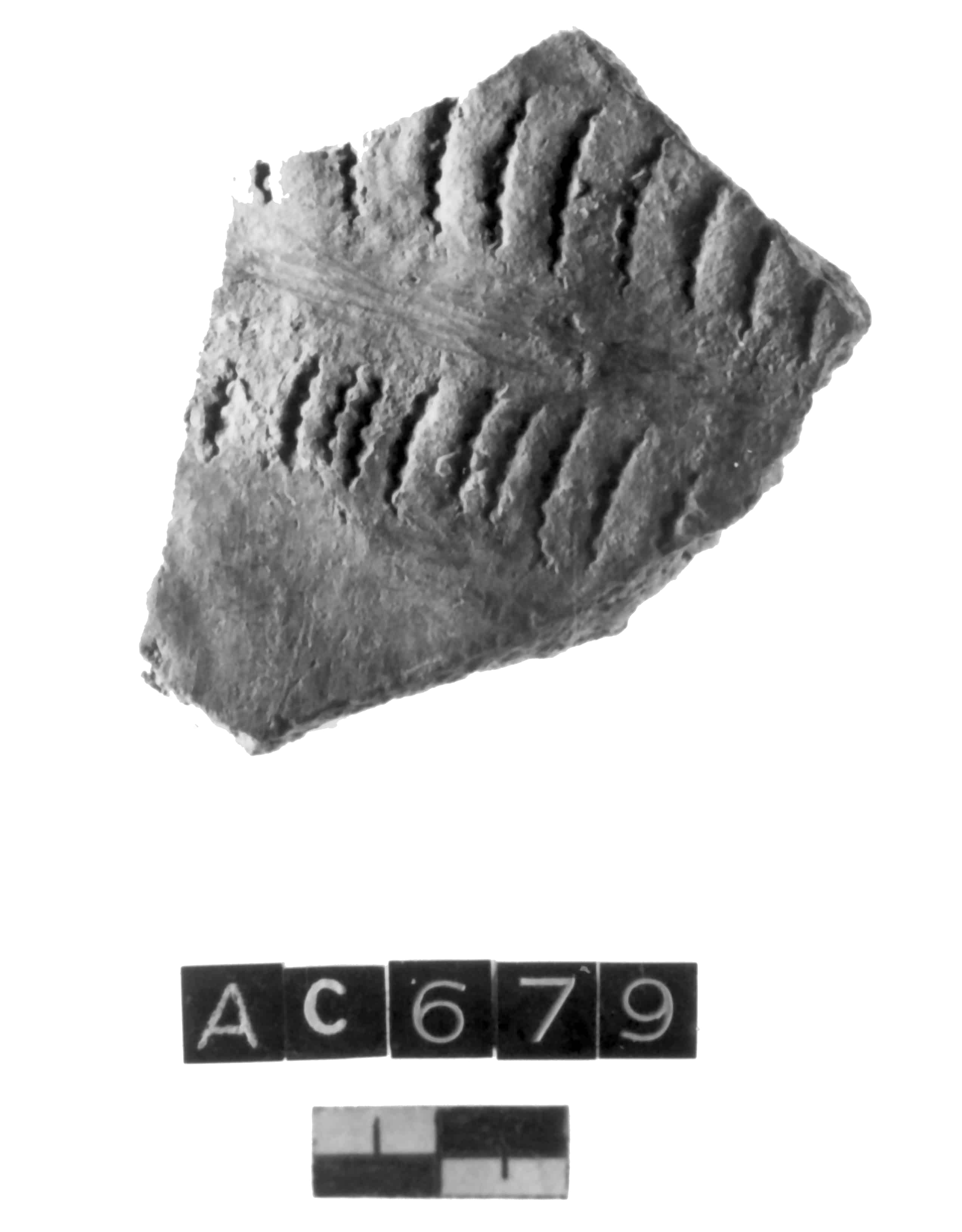 vaso (Neolitico antico)