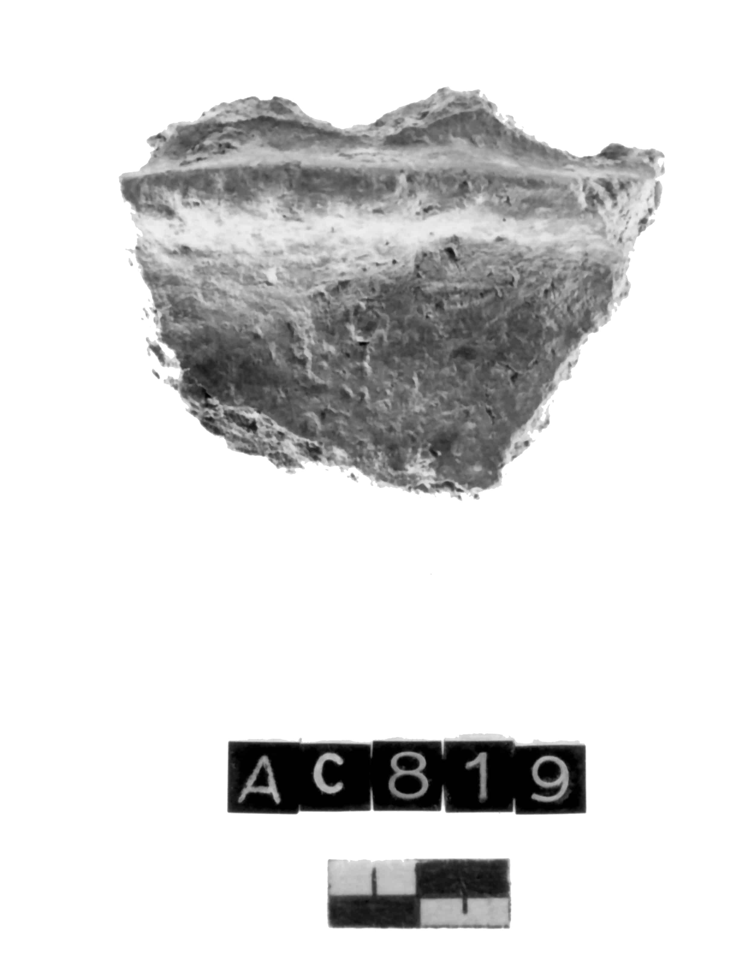 vaso (Neolitico Antico I)