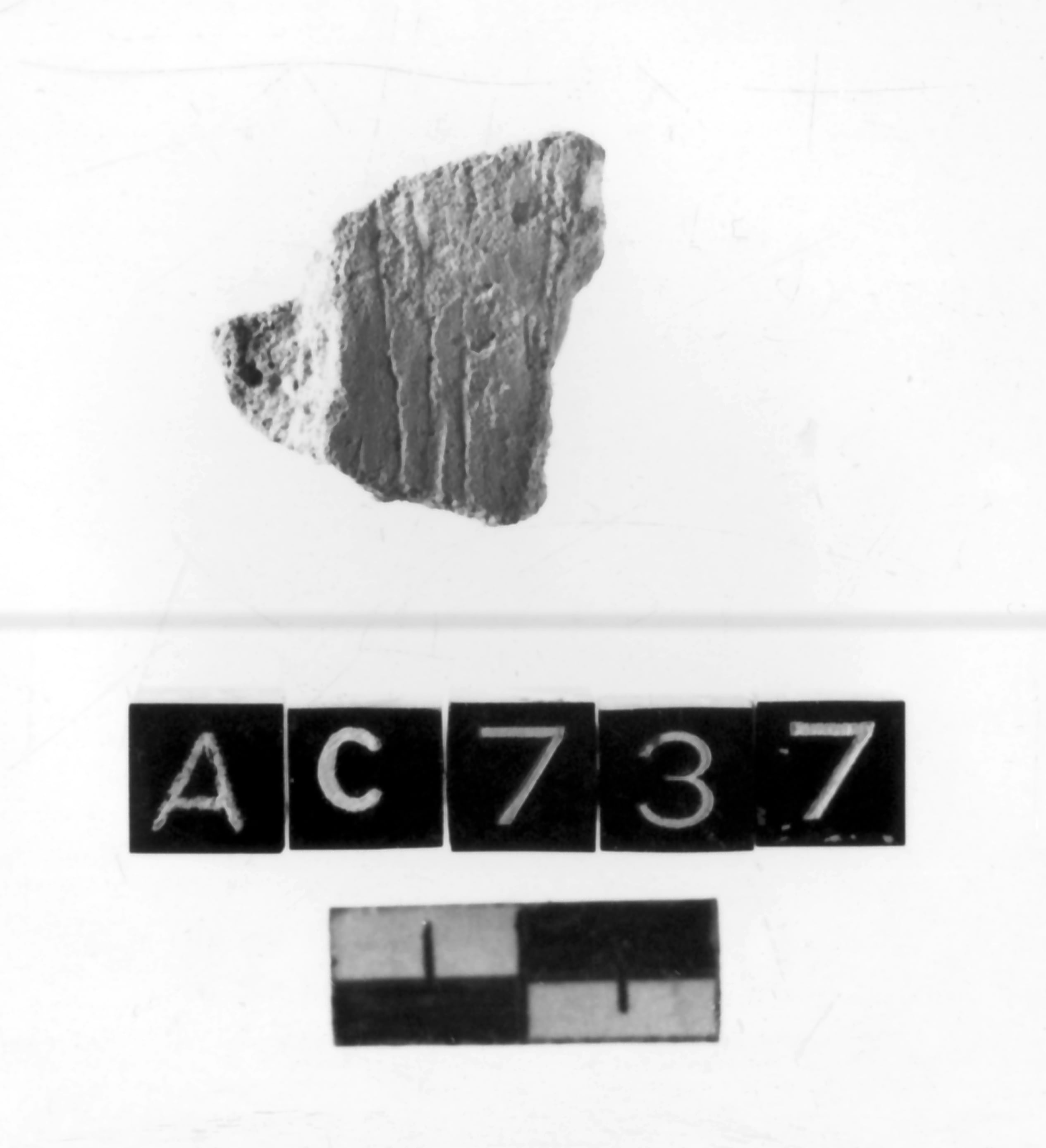 vaso (Neolitico antico)