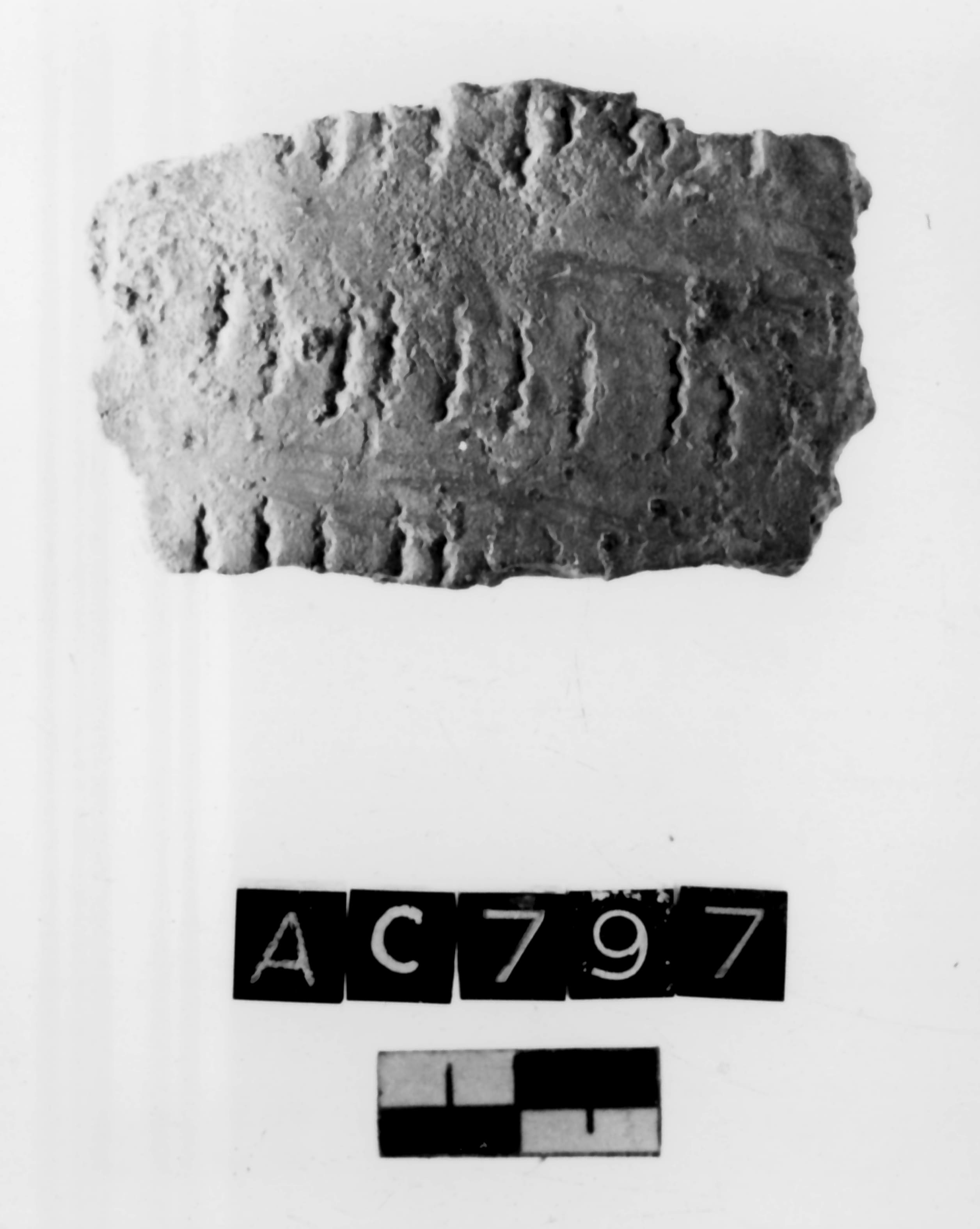 vaso (Neolitico Antico II)